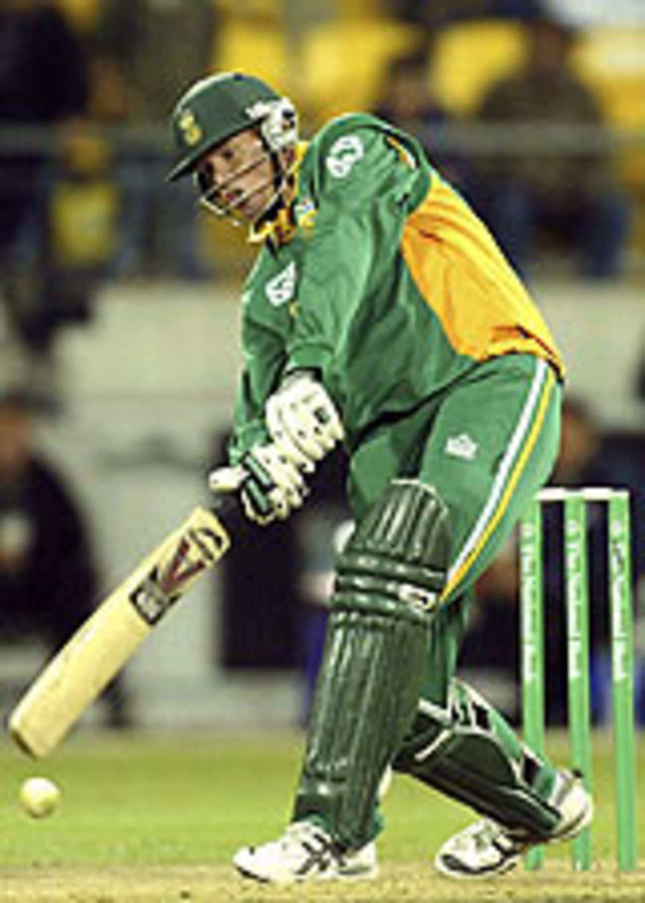 Shaun Pollock hits out in vain, New Zealand v South Africa, 3rd ODI, Wellington, February 20, 2004