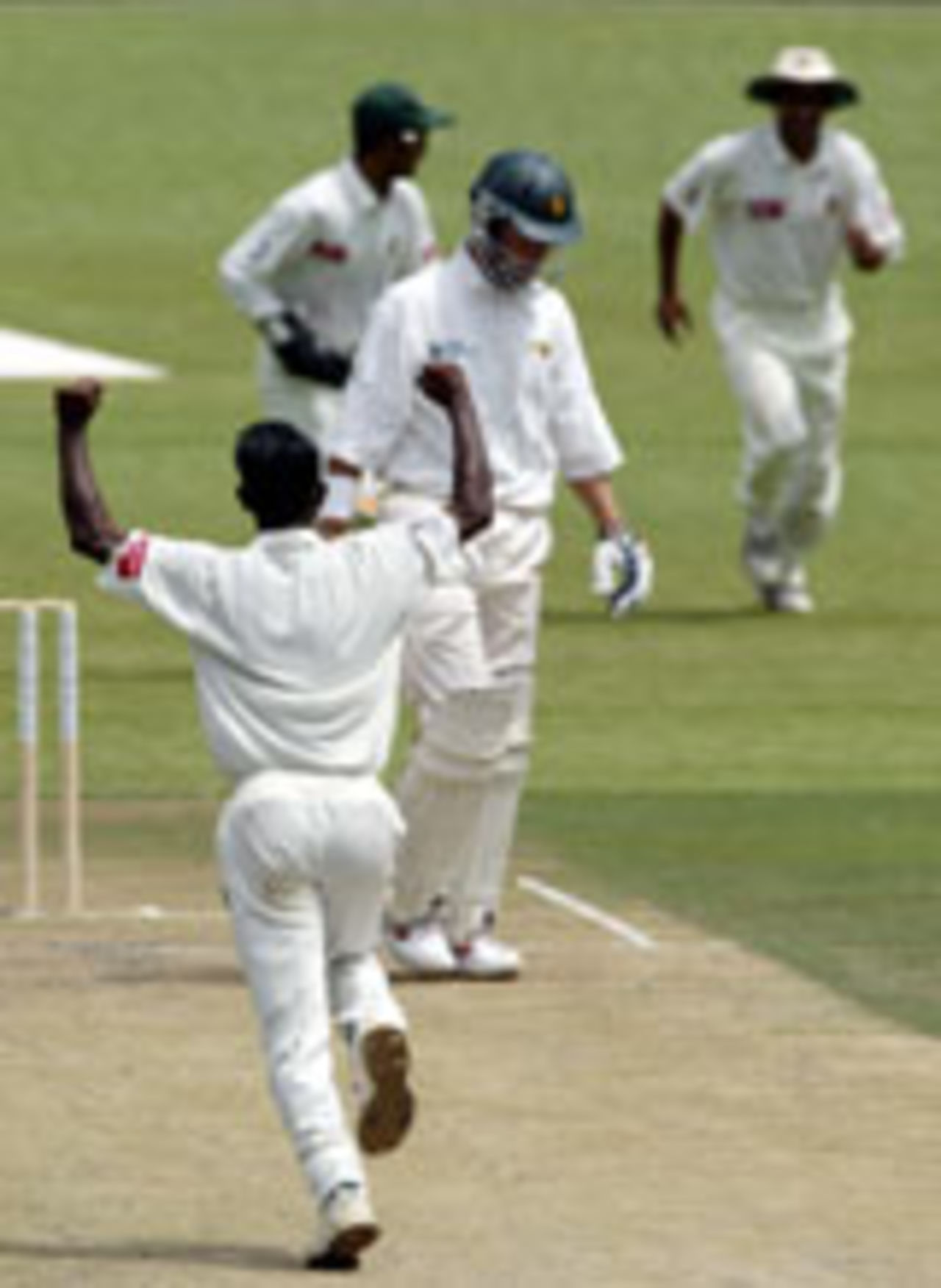 Tapas Baisya celebrates the wicket of Sean Ervine, Zimbabwe v Bangladesh