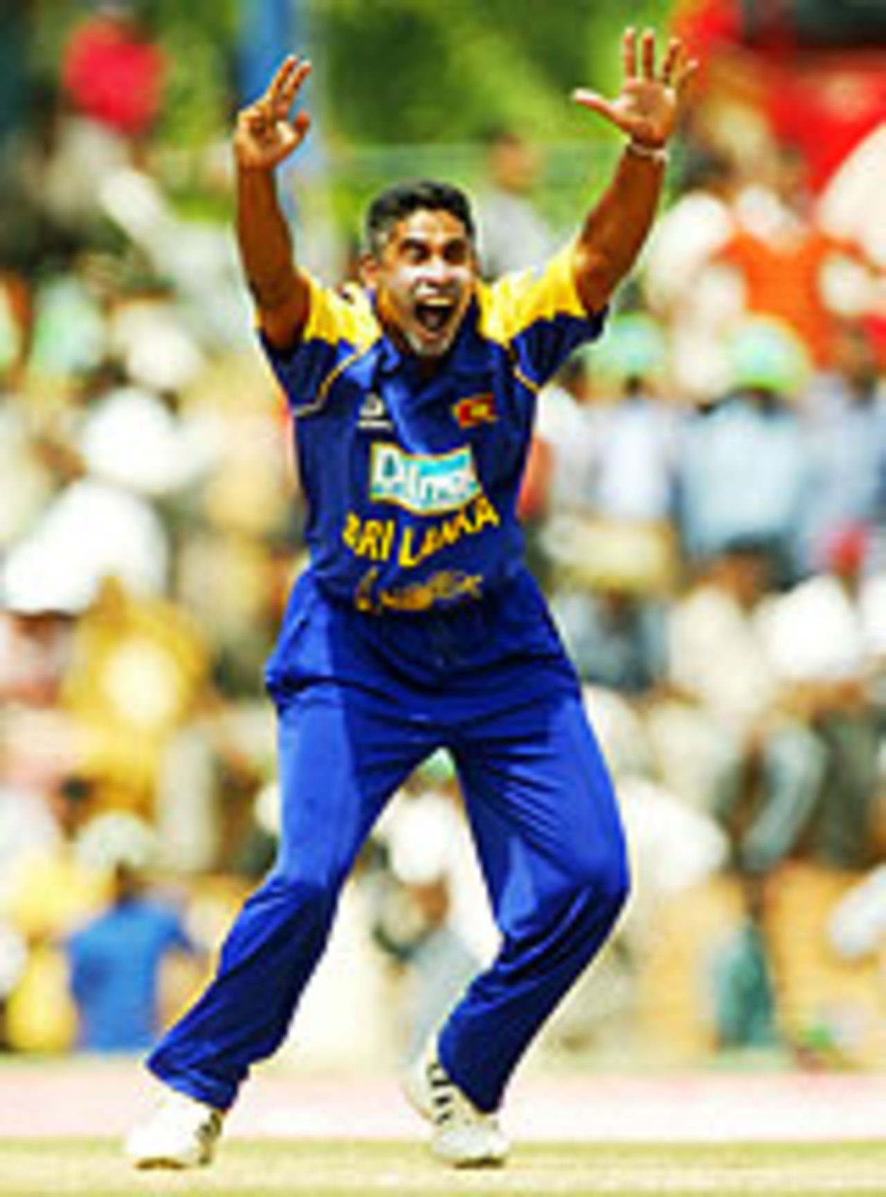 Vaas's sensational spell won the game, Sri Lanka v Australia, 2nd ODI, Dambulla, February 22, 2004
