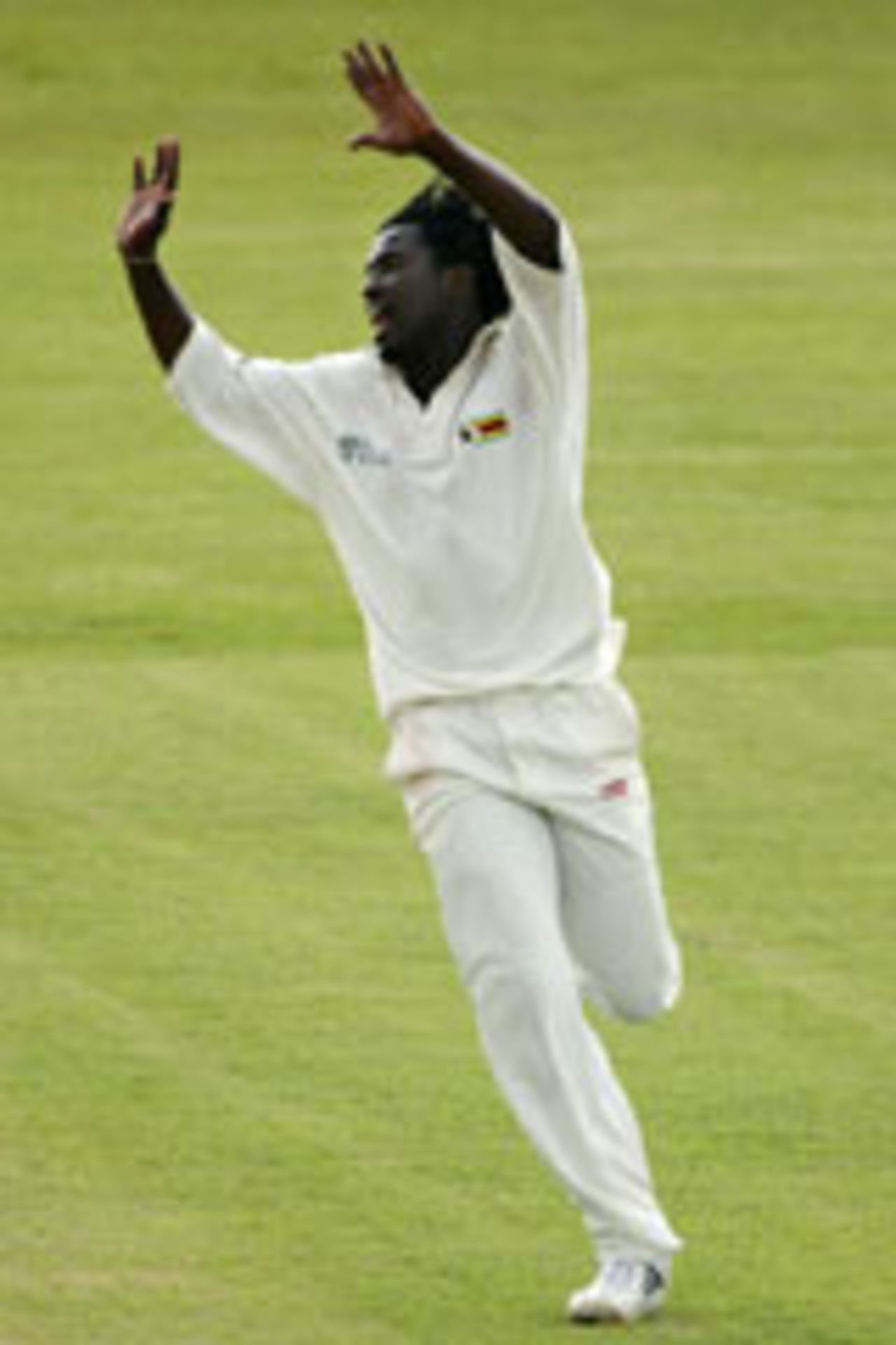 Douglas Hondo celebrates a wicket, Zimbabwe v Bangladesh, 2nd Test, Bulawayo, February 28, 2004