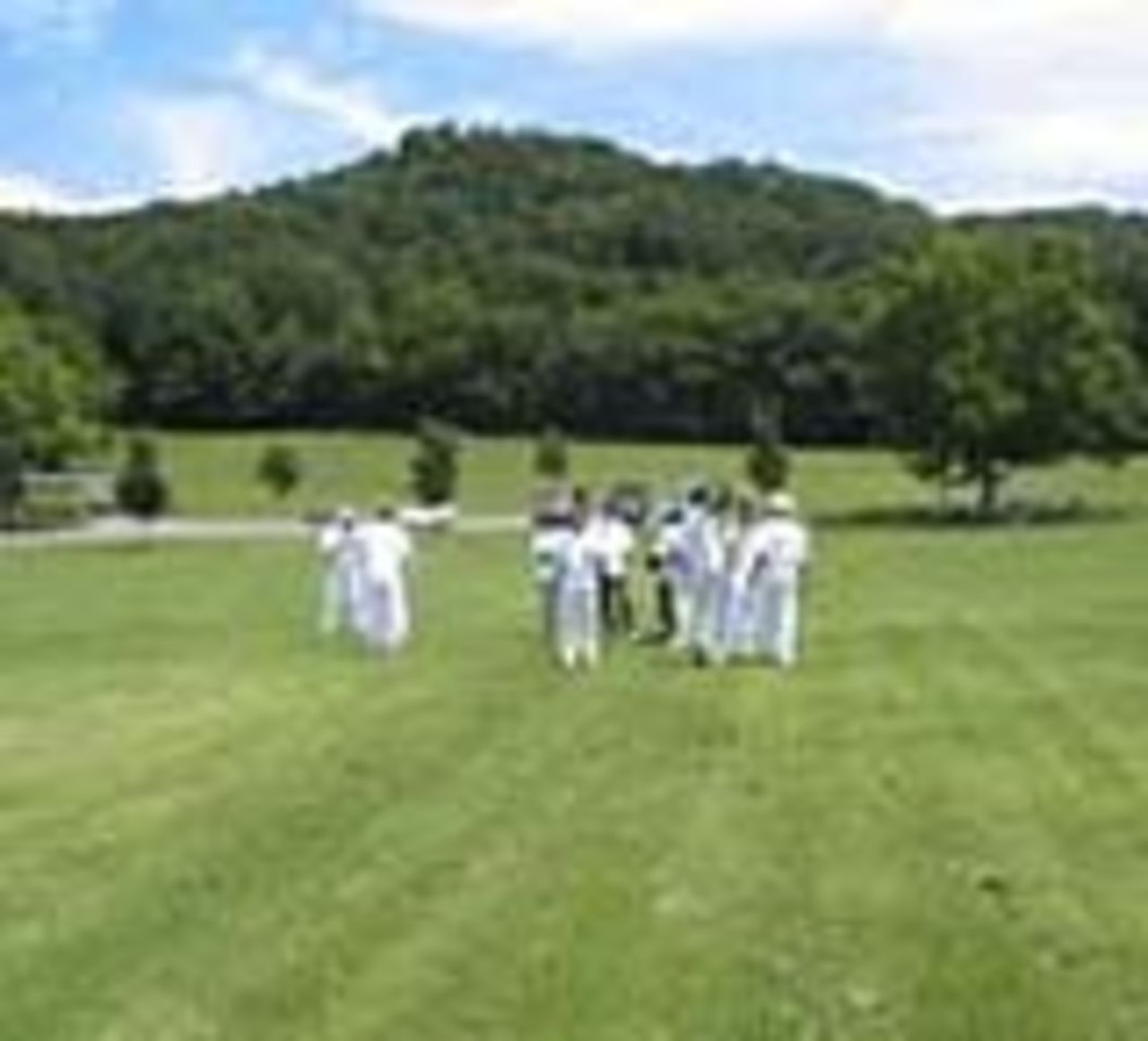 Cricket in Memphis