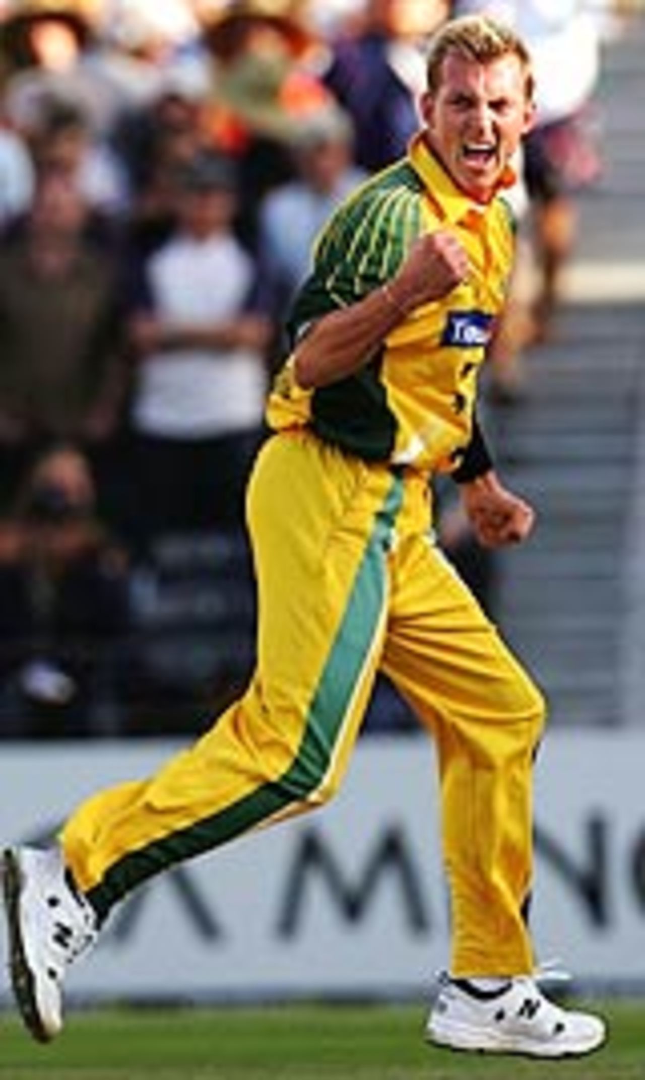 Brett Lee celebrates, New Zealand v Australia, 2nd ODI, Christchurch, February 22, 2005