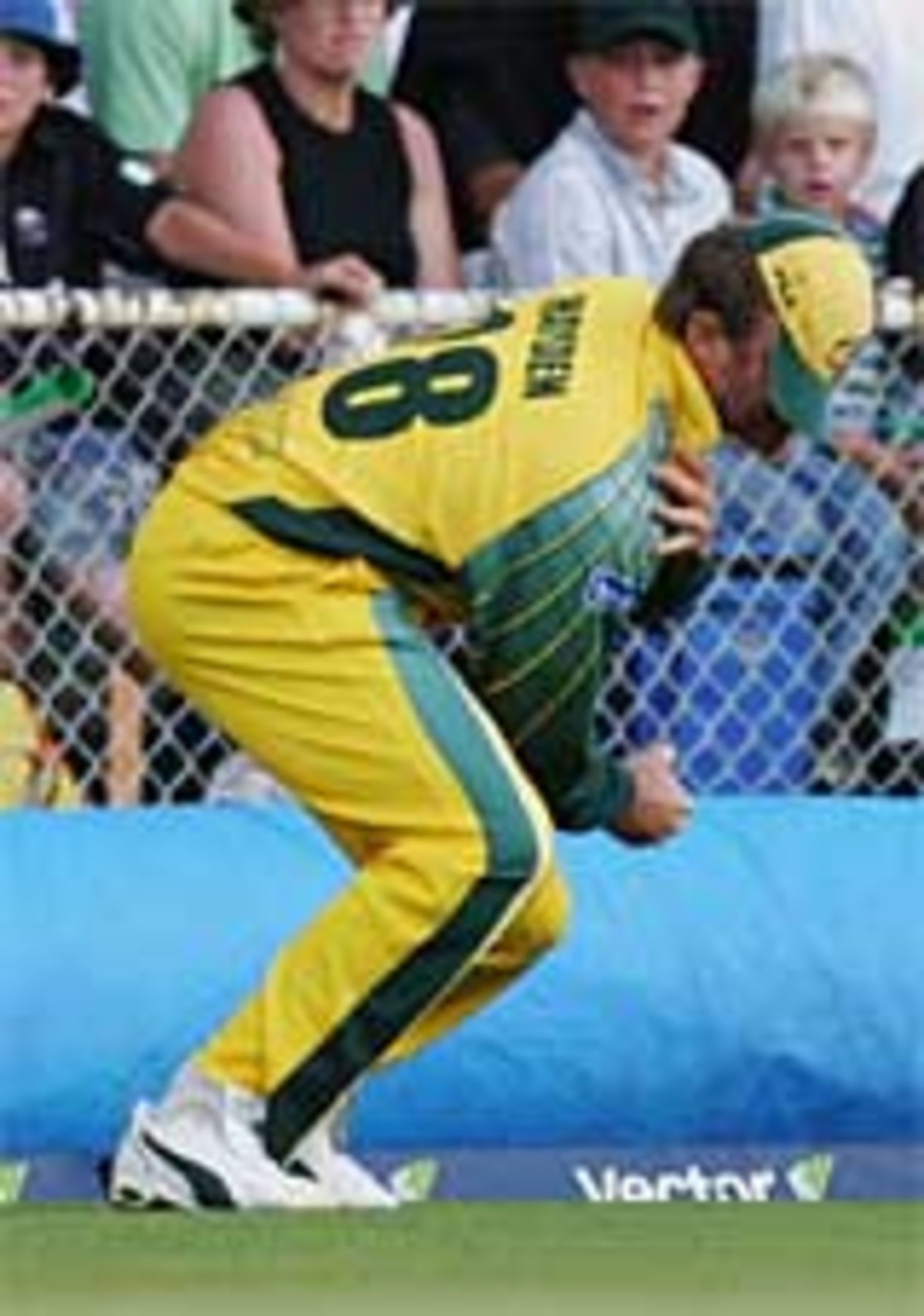 Matthew Hayden clutches his shoulder in agony, New Zealand v Australia, 2nd ODI, Christchurch, February 22, 2005