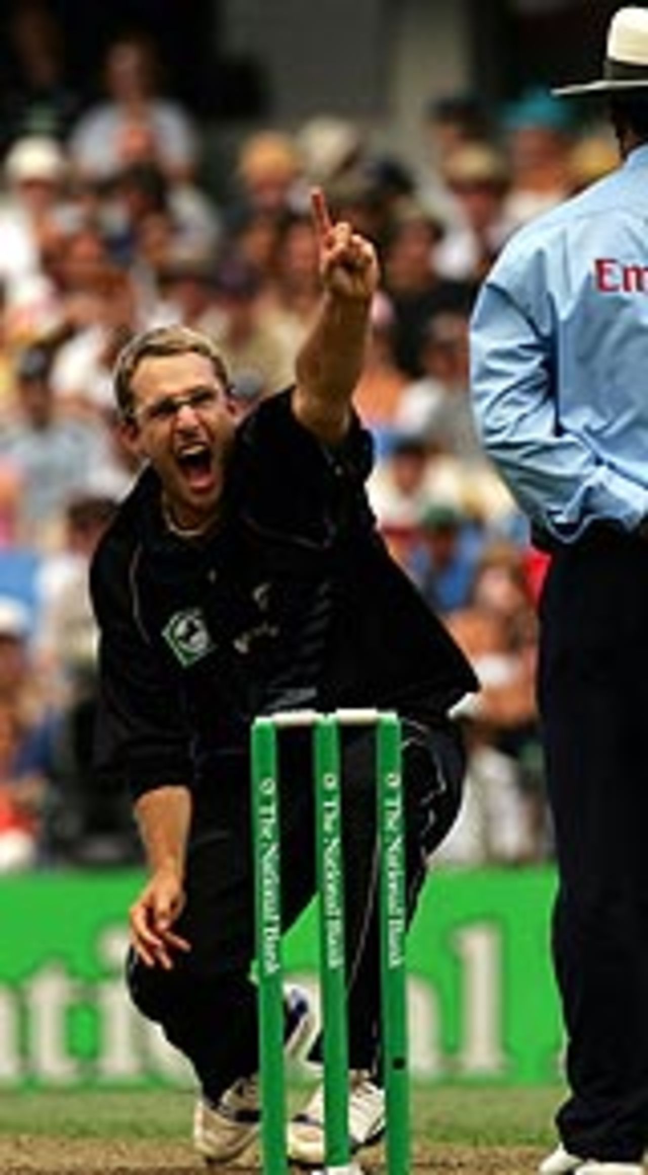 Daniel Vettori appeals, New Zealand v Australia, 3rd ODI, Auckland, February 26, 2005