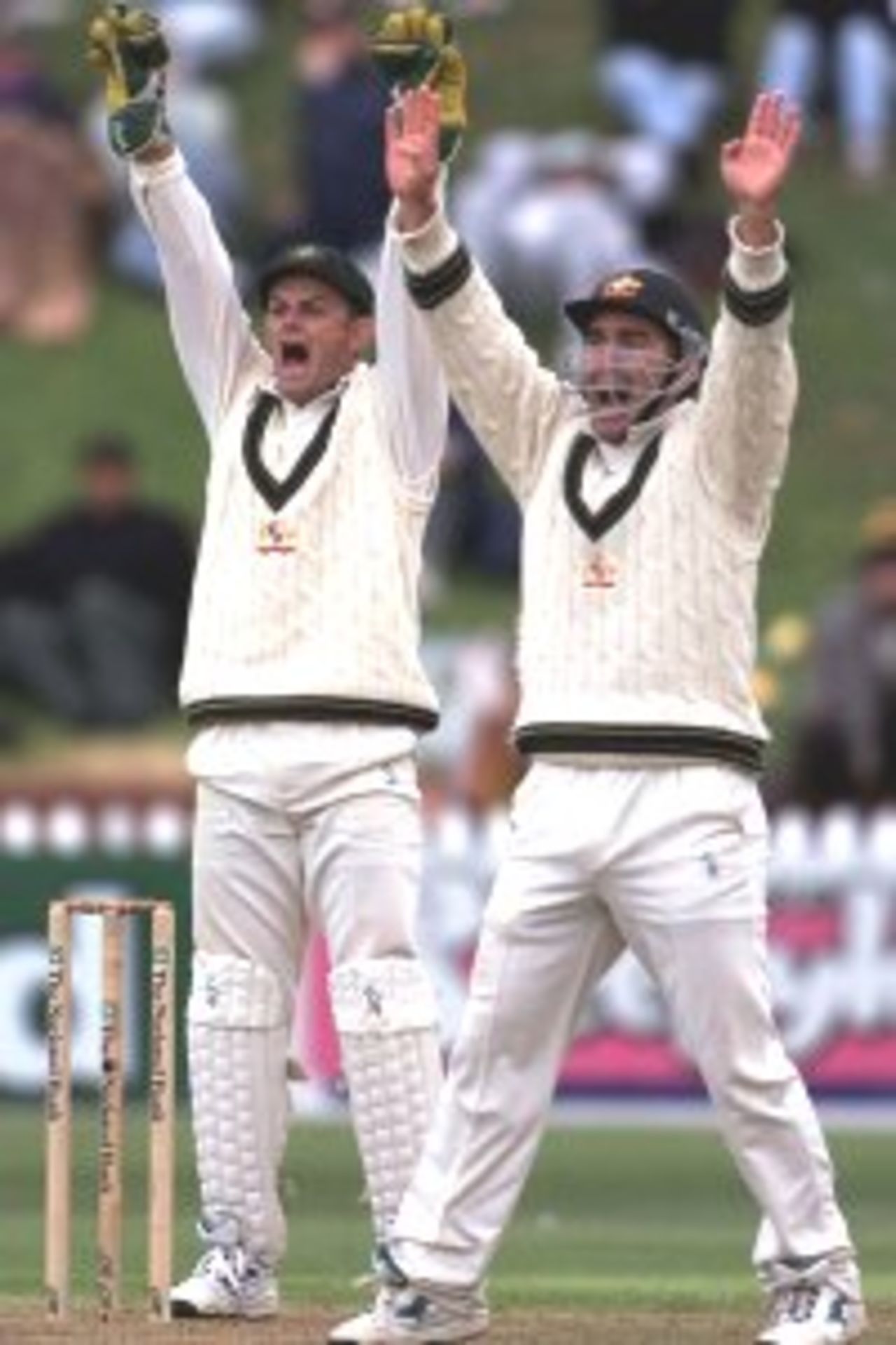 26 Mar 2000: Adam Gilchrist and Justin Langer of Australia appeal unsuccessfully for LBW against Stephen Fleming of New Zealand, during day three of the second test between New Zealand and Australia at the Basin Reserve, Wellington, New Zealand.