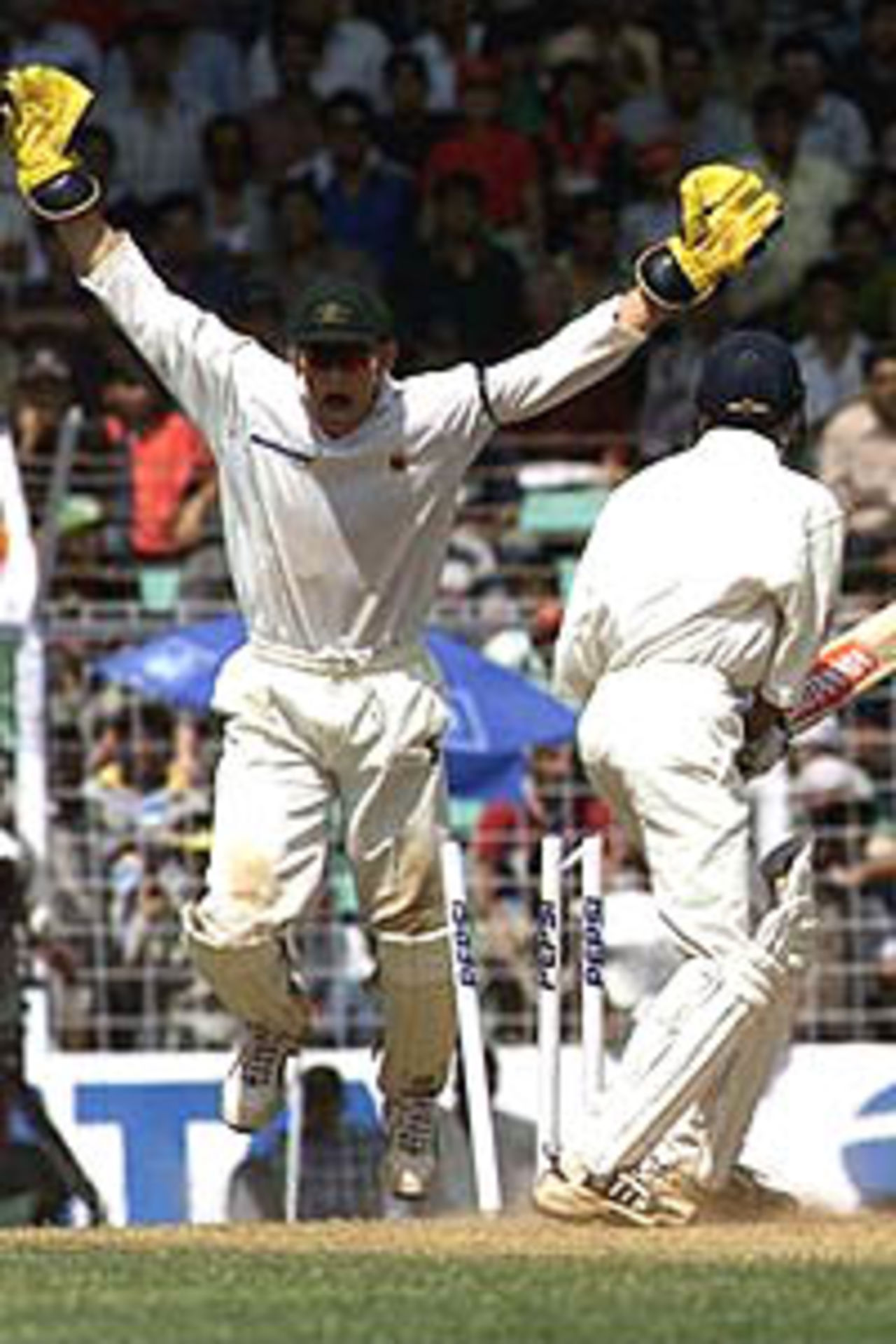 1 Mar 2001: Adam Gilchrist of Australia celebrates as Ajit Agarkar of India is bowled by Mark Waugh, during day three of the first test between India and Australia, played Wankhede Stadium, Mumbai, India.