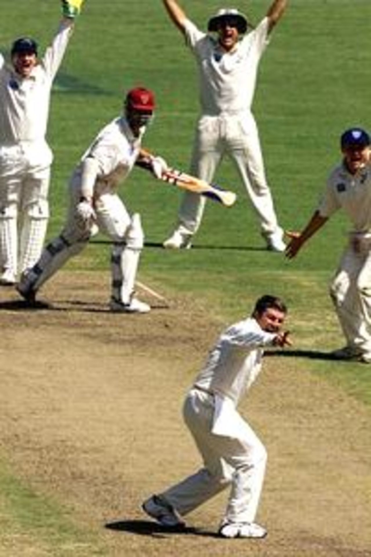Stuart McGill of New South Wales appeals for the wicket of Adam Dale of Queensland during the third days play in the Pura Cup Match between New South Wales and Queensland being played at the Sydney Cricket Ground,Sydney Australia