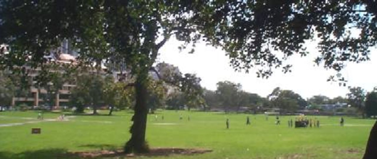 The Domain, Sydney, March 2001. The slope was the same when cricket was played there in the 1860's.