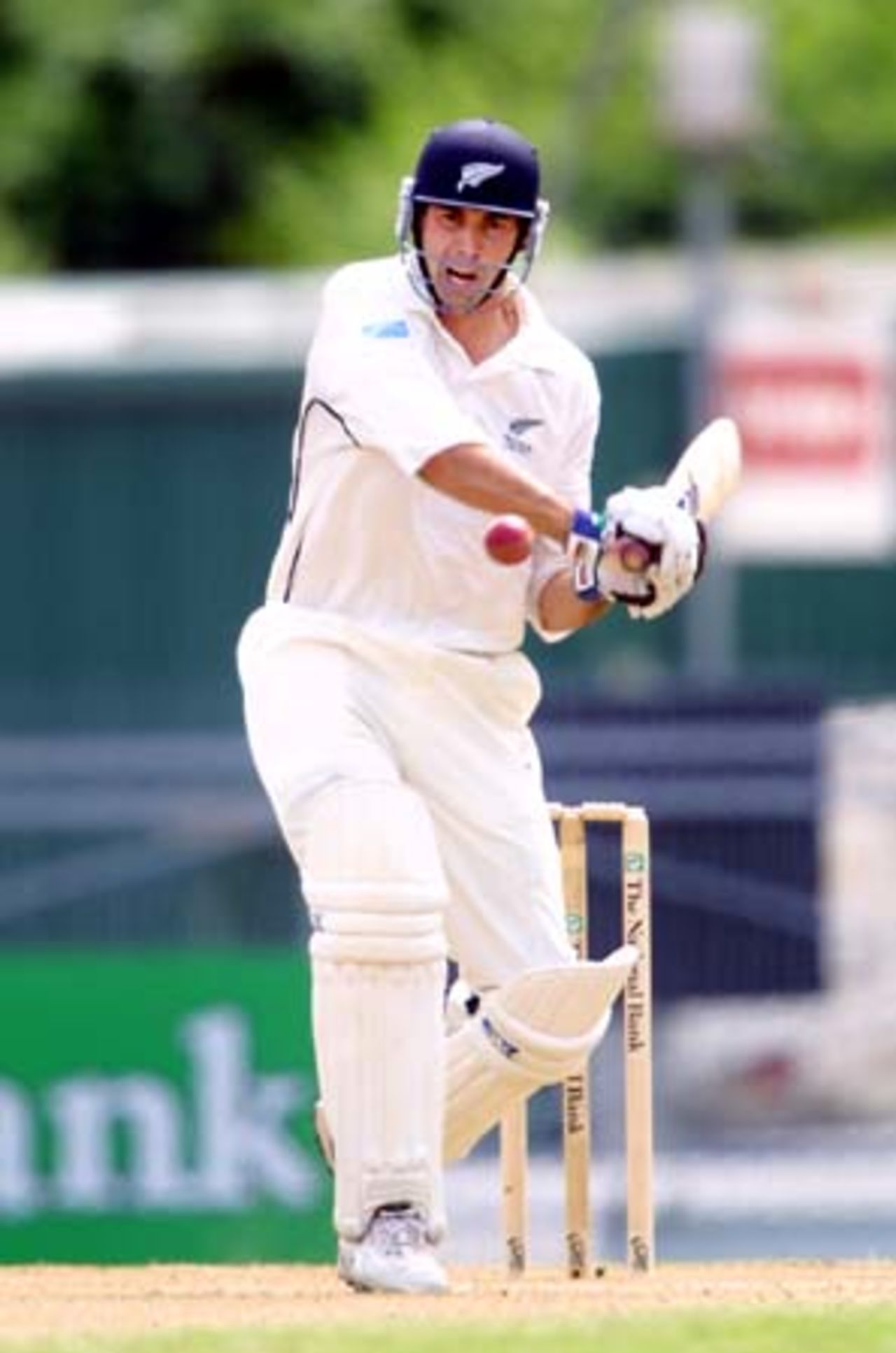New Zealand batsman Stephen Fleming shapes to pull a short ball during his first innings of 86. 1st Test: New Zealand v Pakistan at Eden Park, Auckland, 8-12 March 2001 (10 March 2001).