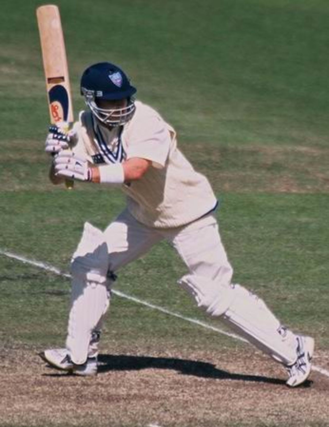 Brad Haddin batting for New South Wales