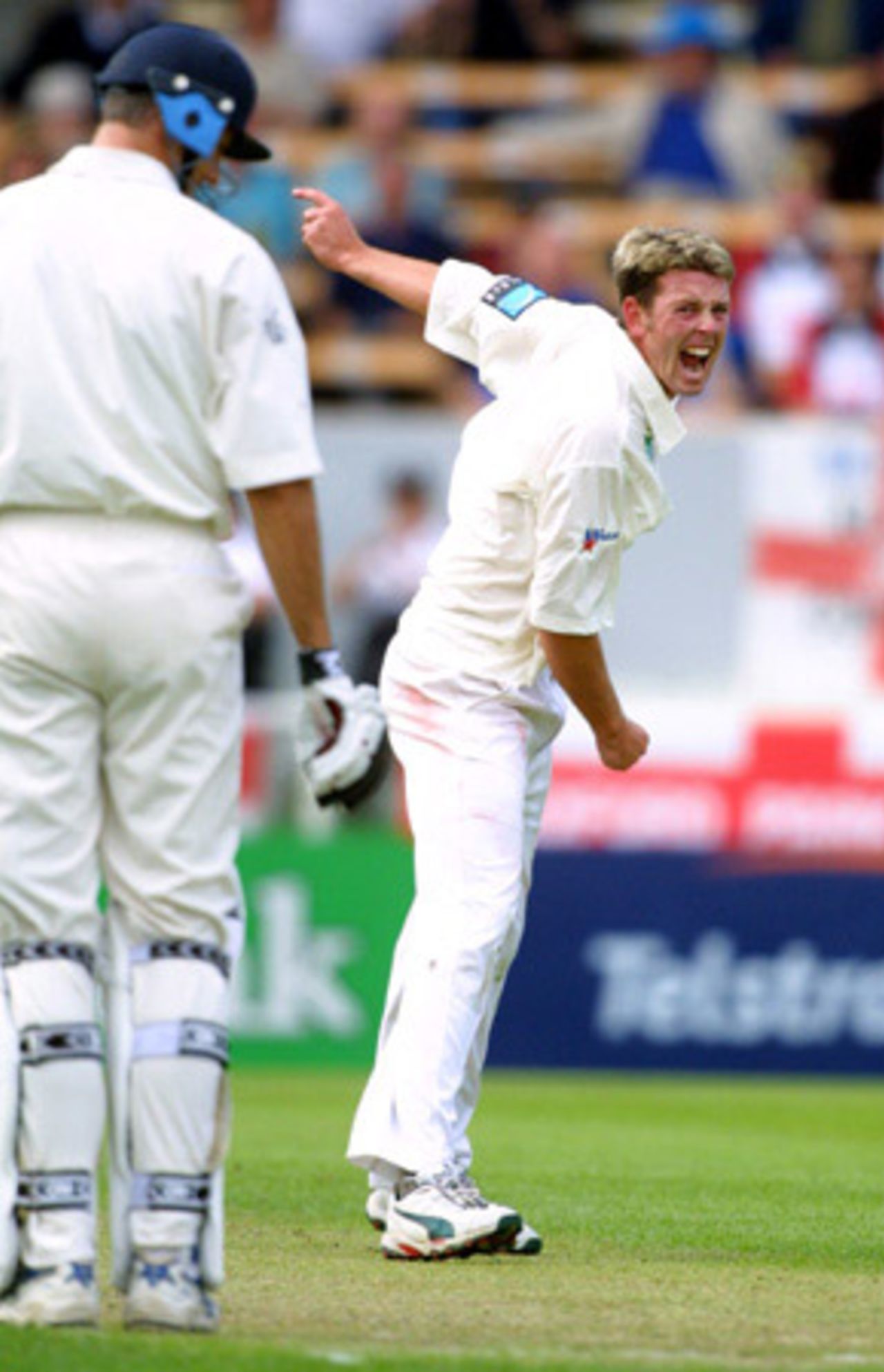 New Zealand bowler Ian Butler successfully appeals for lbw against England batsman Andy Caddick. Caddick was dismissed for 0. 1st Test: New Zealand v England at Jade Stadium, Christchurch, 13-17 March 2002 (13 March 2002).