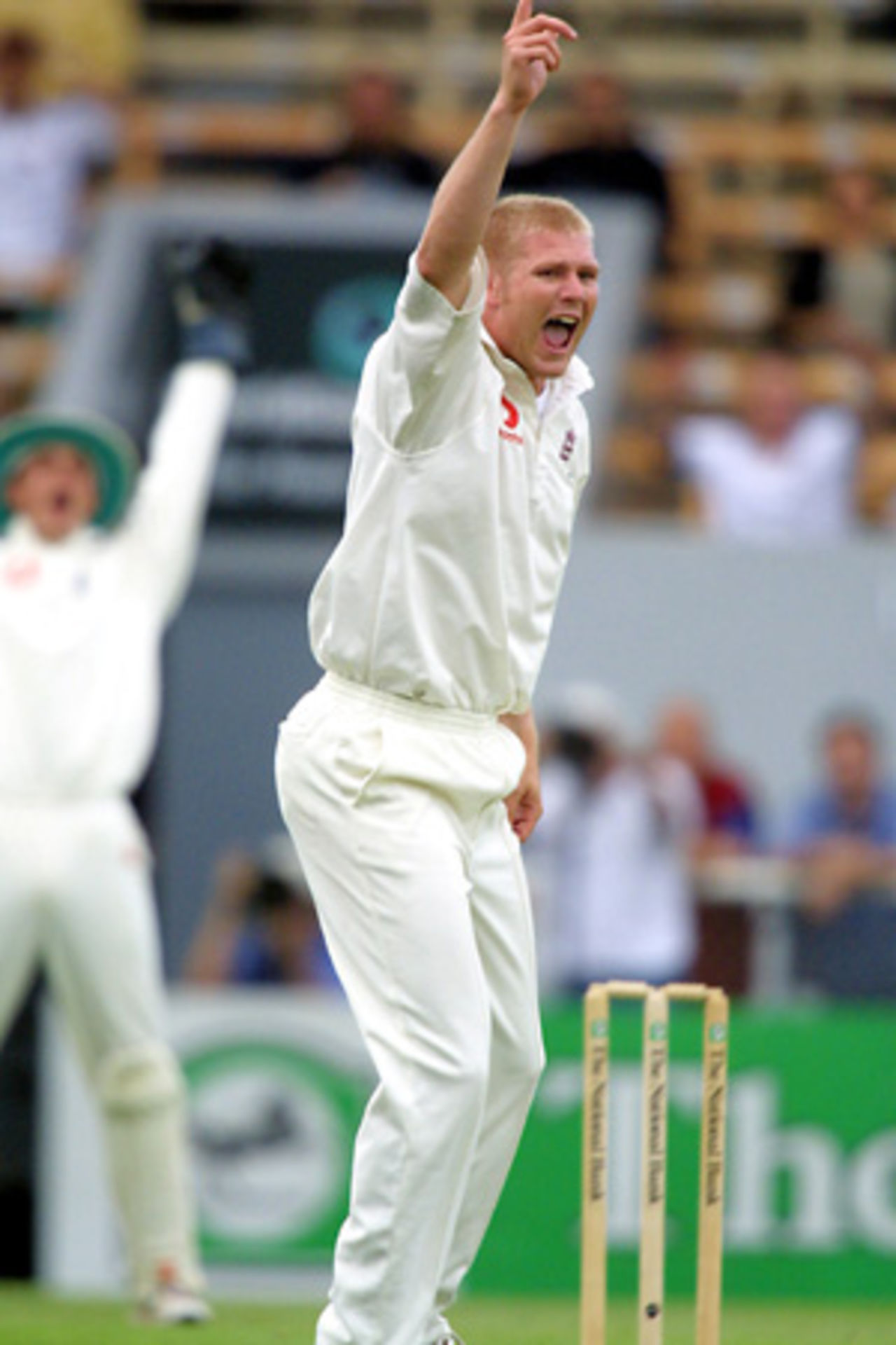 England bowler Matthew Hoggard successfully appeals for lbw against New Zealand batsman Mark Richardson. Richardson was dismissed for two. 1st Test: New Zealand v England at Jade Stadium, Christchurch, 13-17 March 2002 (13 March 2002).