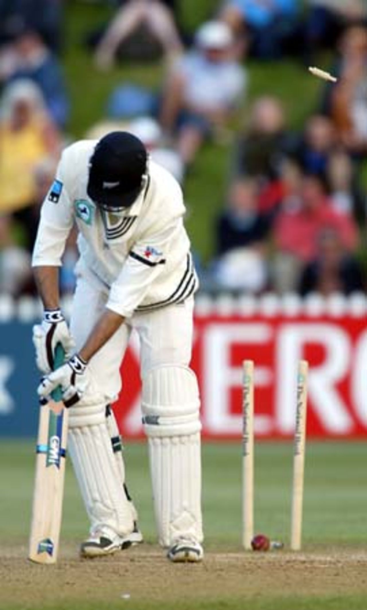 New Zealand batsman Stephen Fleming is bowled by England bowler Matthew Hoggard for 11 in his second innings. 2nd Test: New Zealand v England at Basin Reserve, Wellington, 21-25 March 2002 (25 March 2002).
