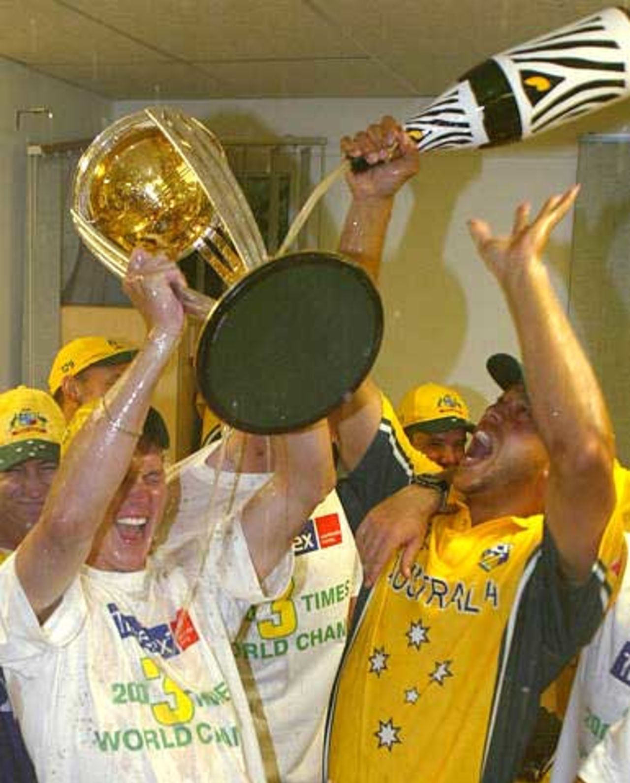 World Cup 2003, Final - Australia v India at Johannesburg, 23rd March 2003