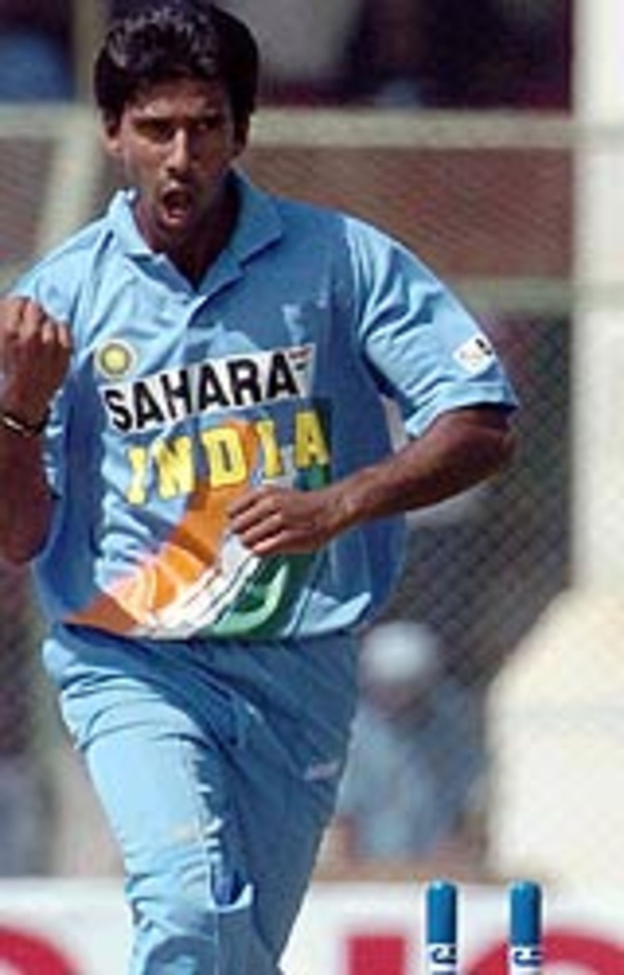 Laxmipathy Balaji celebrates the wicket of Yasir Hameed, Pakistan v India, 1st ODI, Karachi, March 13, 2004