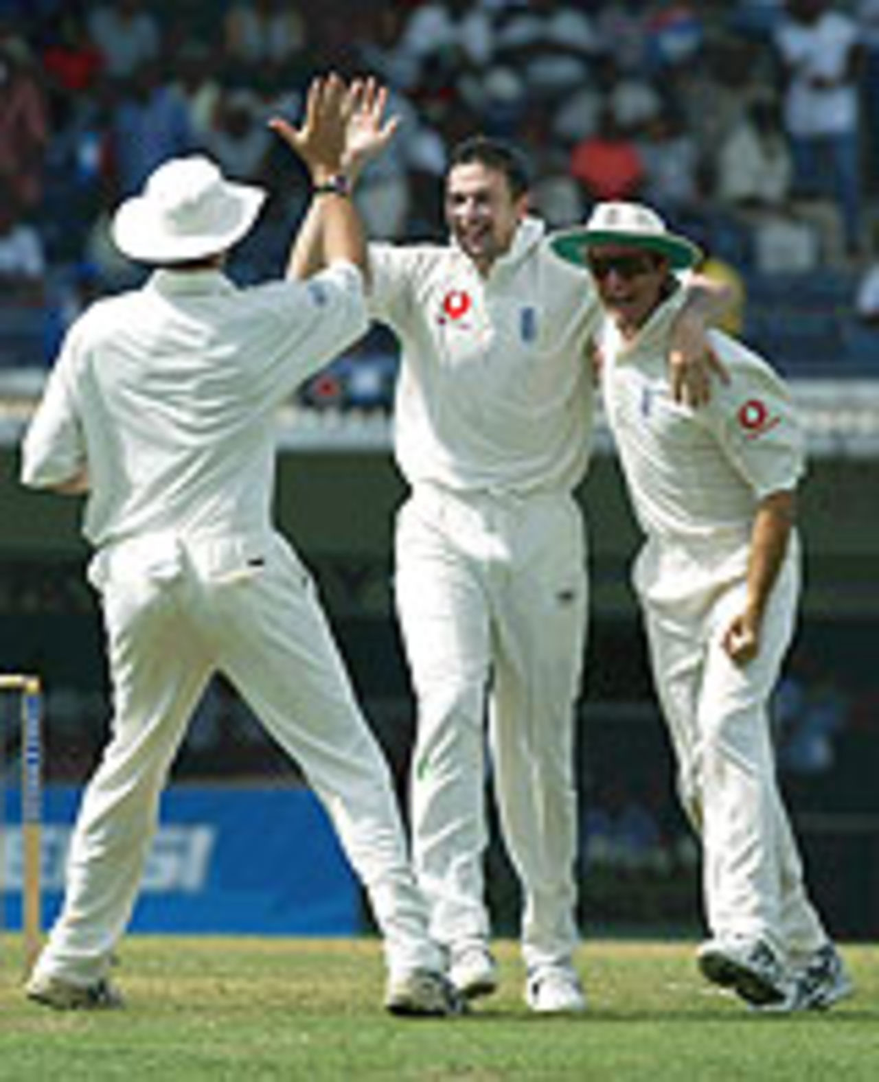 Steve Harmison celebrates, West Indies v England, 1st Test, Sabina Park, 3rd day, March 13, 2004