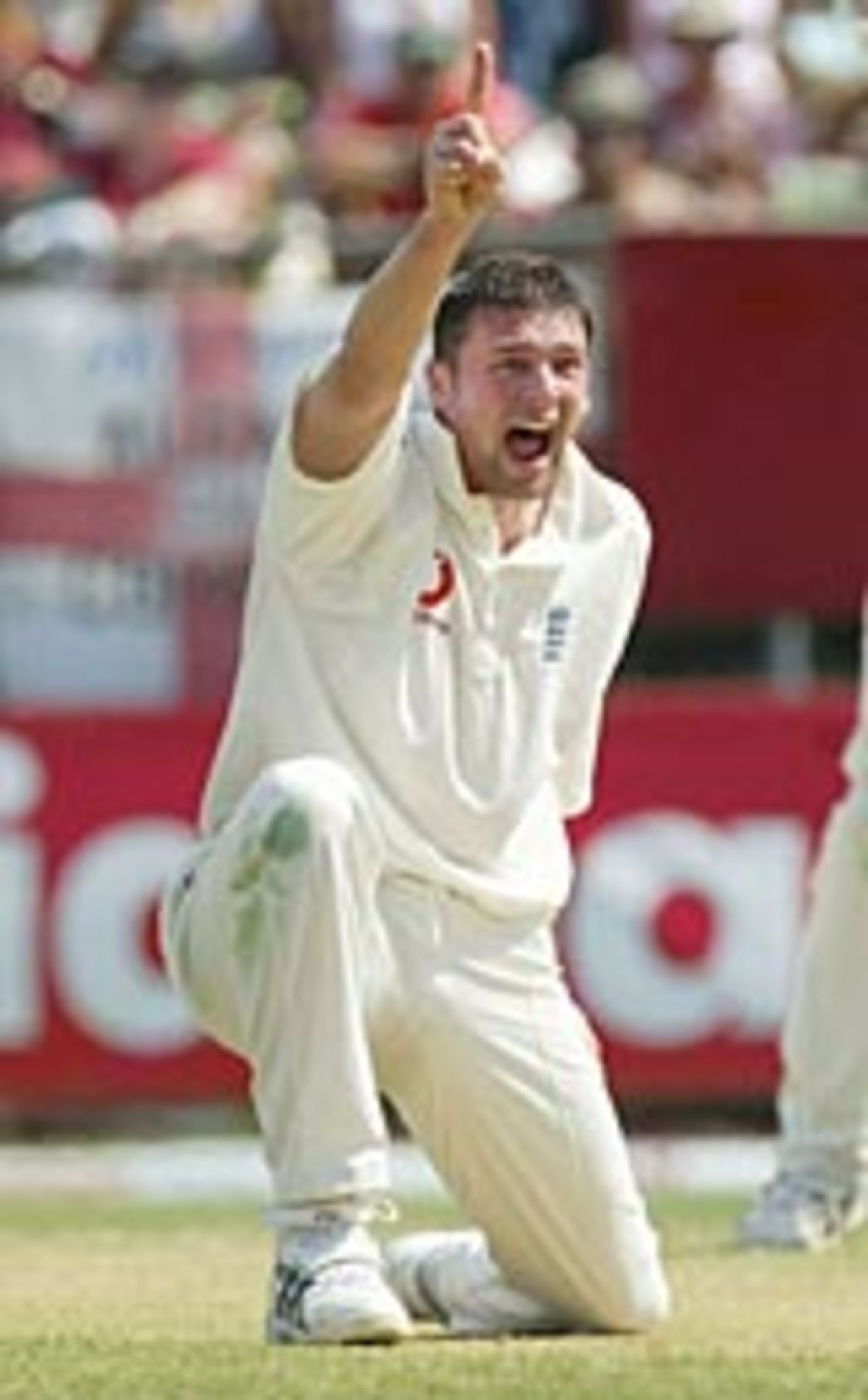 Steve Harmison appeals, West Indies v England, 1st Test, Sabina Park, 3rd day, March 13, 2004