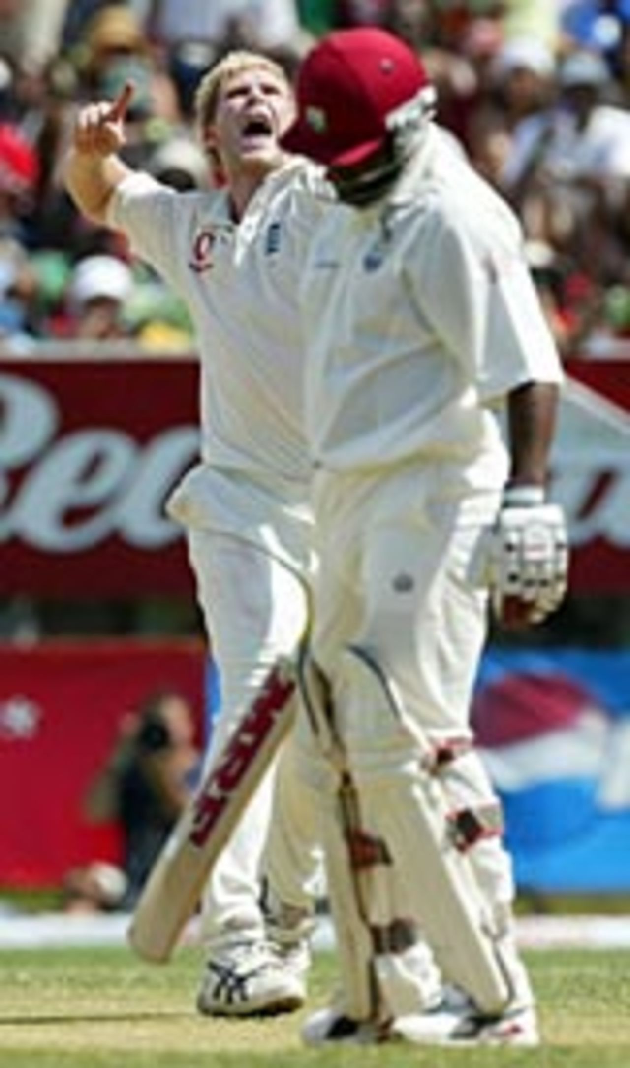 Matthew Hoggard celebrates the dimissal of Brian Lara, West Indies v England, 1st Test, Sabina Park, 3rd day, March 13, 2004