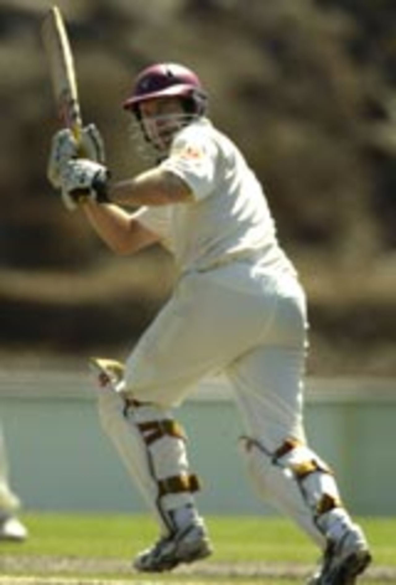 Martin Love on the way to an unbeaten 65, Queensland v Victoria, Pura Cup final, Melbourne, 4th day, March 15, 2004