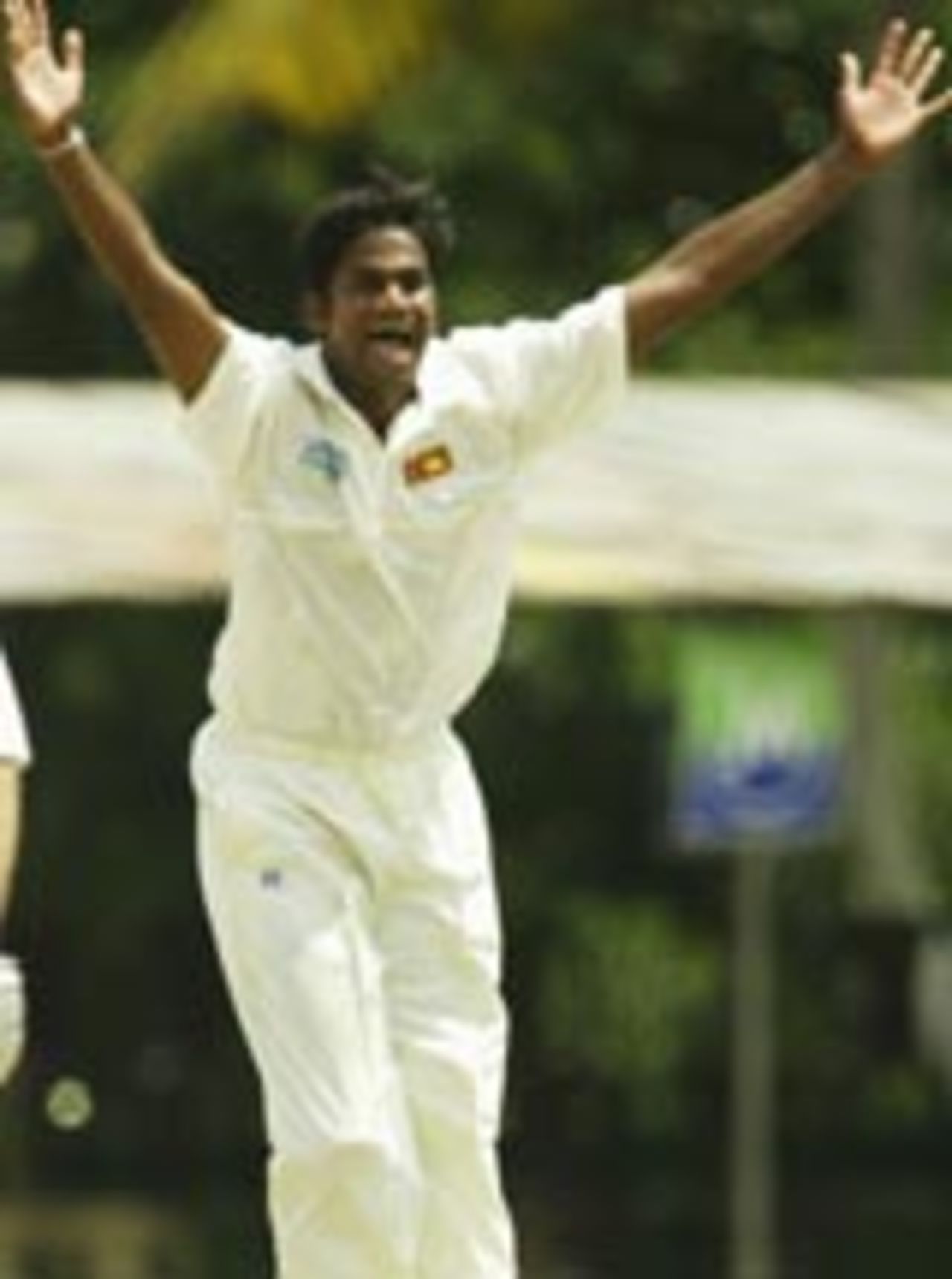 Nuwan Zoysa goes up in appeal, Sri Lanka v Australia, 2nd Test, Kandy, 1st day, March 16, 2004