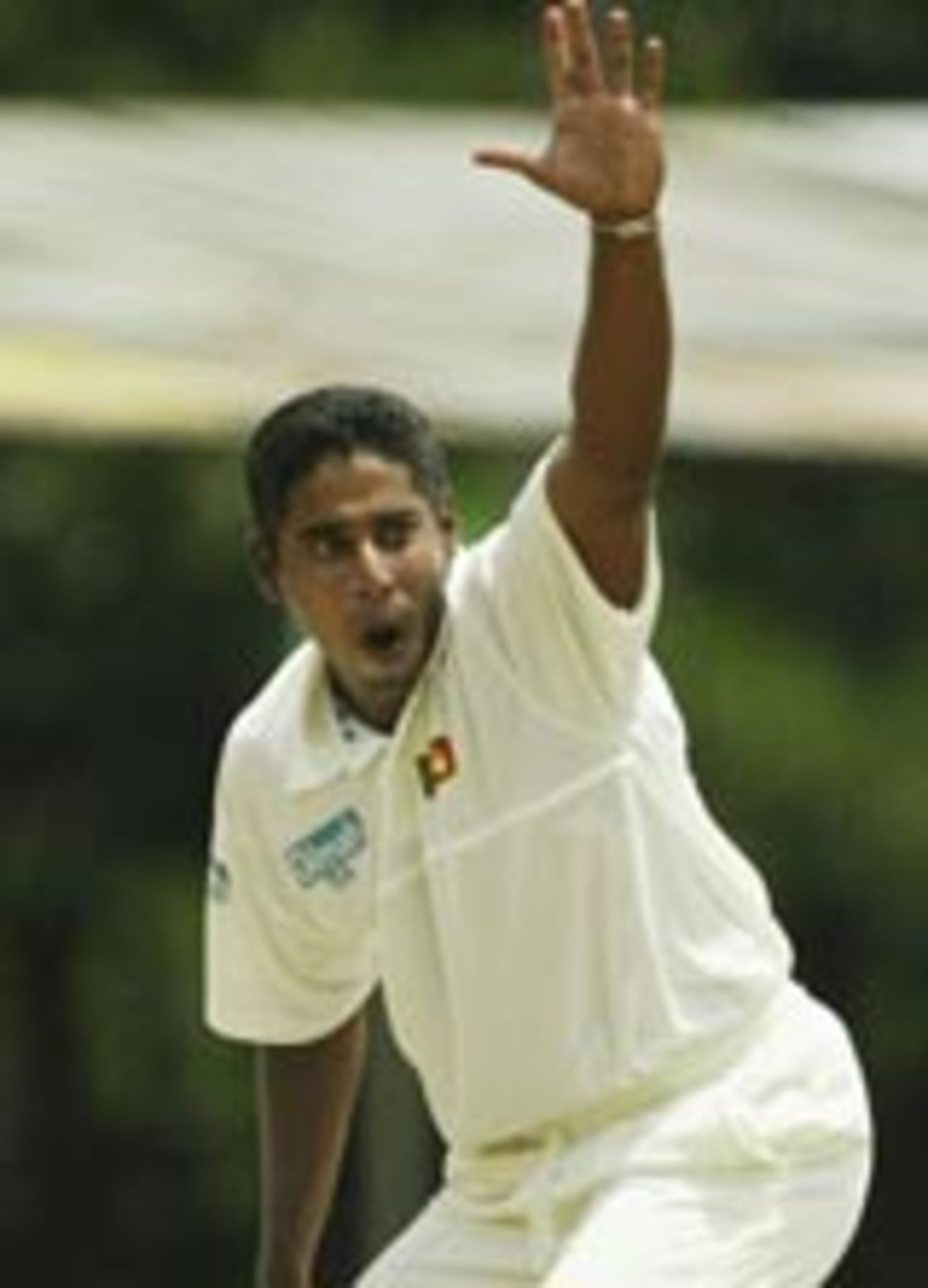 Chaminda Vaas appeals for an lbw verdict against Ricky Ponting, Sri Lanka v Australia, 2nd Test, Kandy, 1st day, March 16, 2004