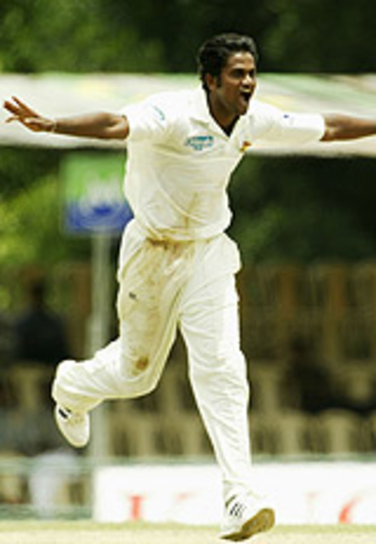 Nuwan Zoysa runs around celebrating a wicket, Sri Lanka v Australia, 2nd Test, Kandy, 1st day, March 16, 2004