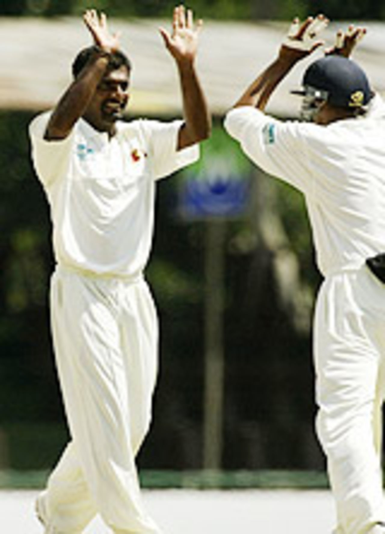 Muttiah Muraltharan high-fives after dismissing Adam Gilchrist, Sri Lanka v Australia, 2nd Test, Kandy, 2nd day, March 18, 2004