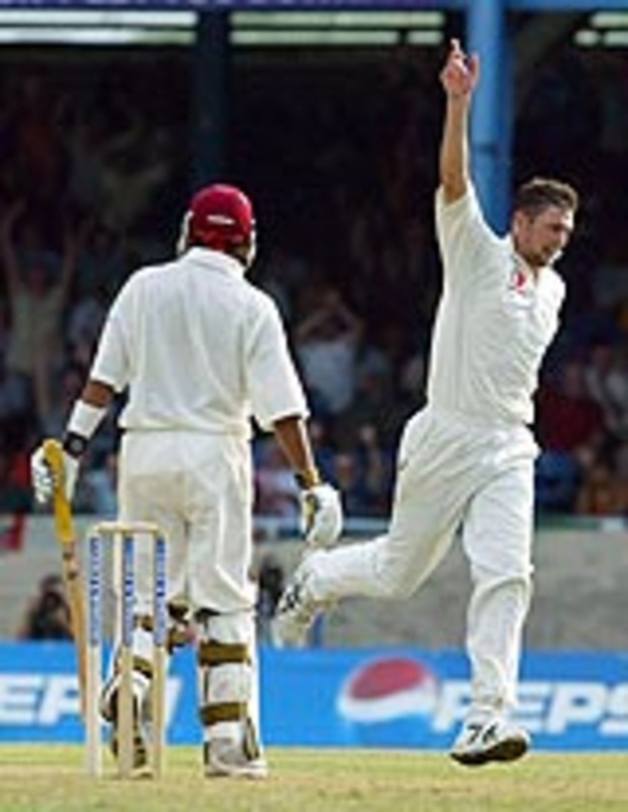 Steve Harmison celebrates Ramnaresh Sarwan's dismissal, West Indies v England, 2nd Test, Trinidad, March 19, 2004