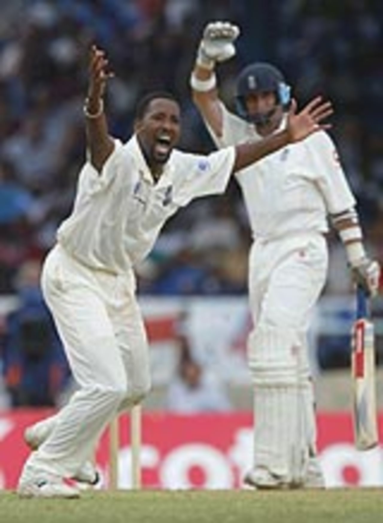 Corey Collymore appeals for the wicket of Nasser Hussain, West Indies v England, 2nd Test, Trinidad, 2nd day, March 20, 2004
