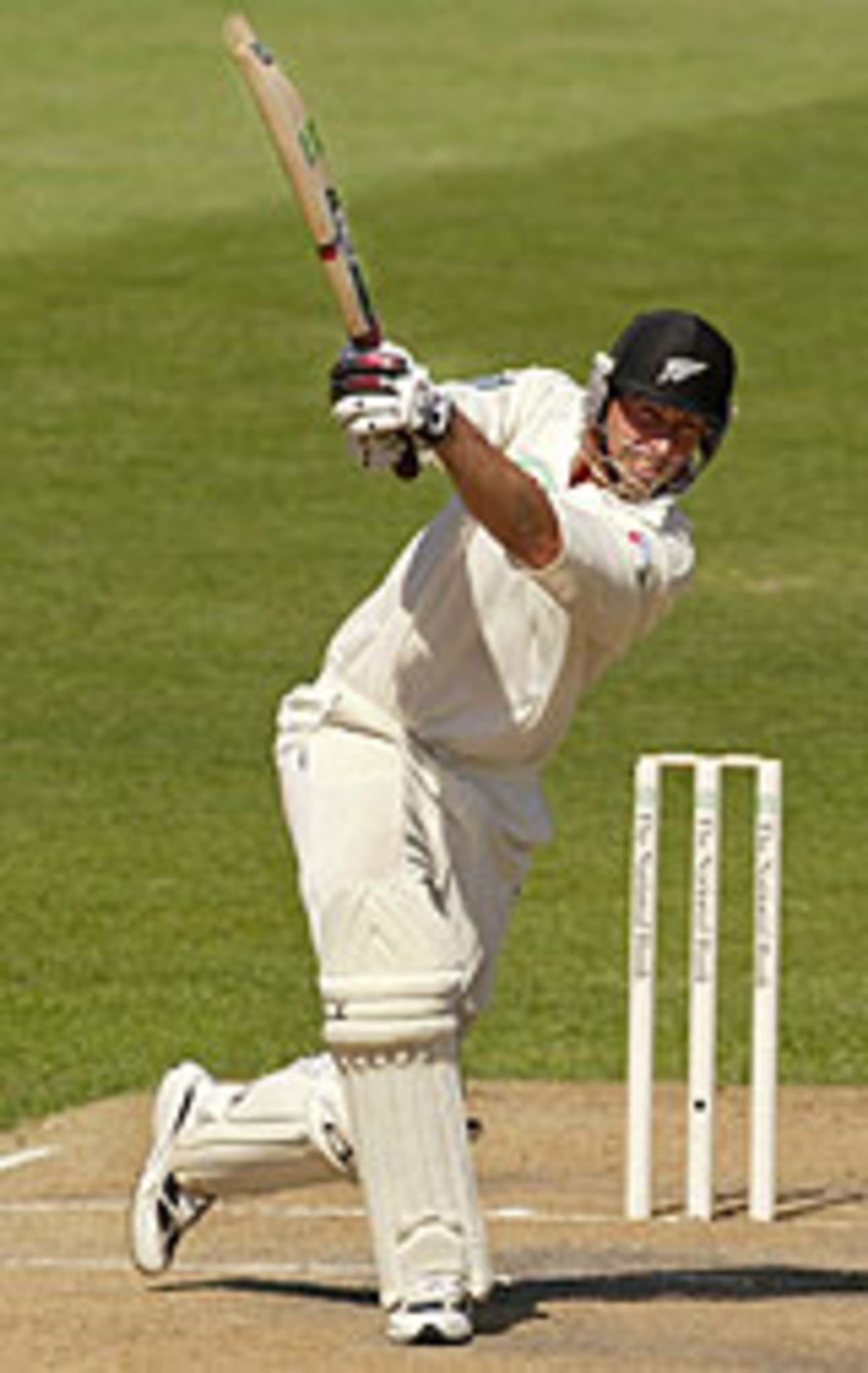 Stephen Feming hits out, New Zealand v South Africa, 2nd Test, Auckland, 5th day, March 22, 2004