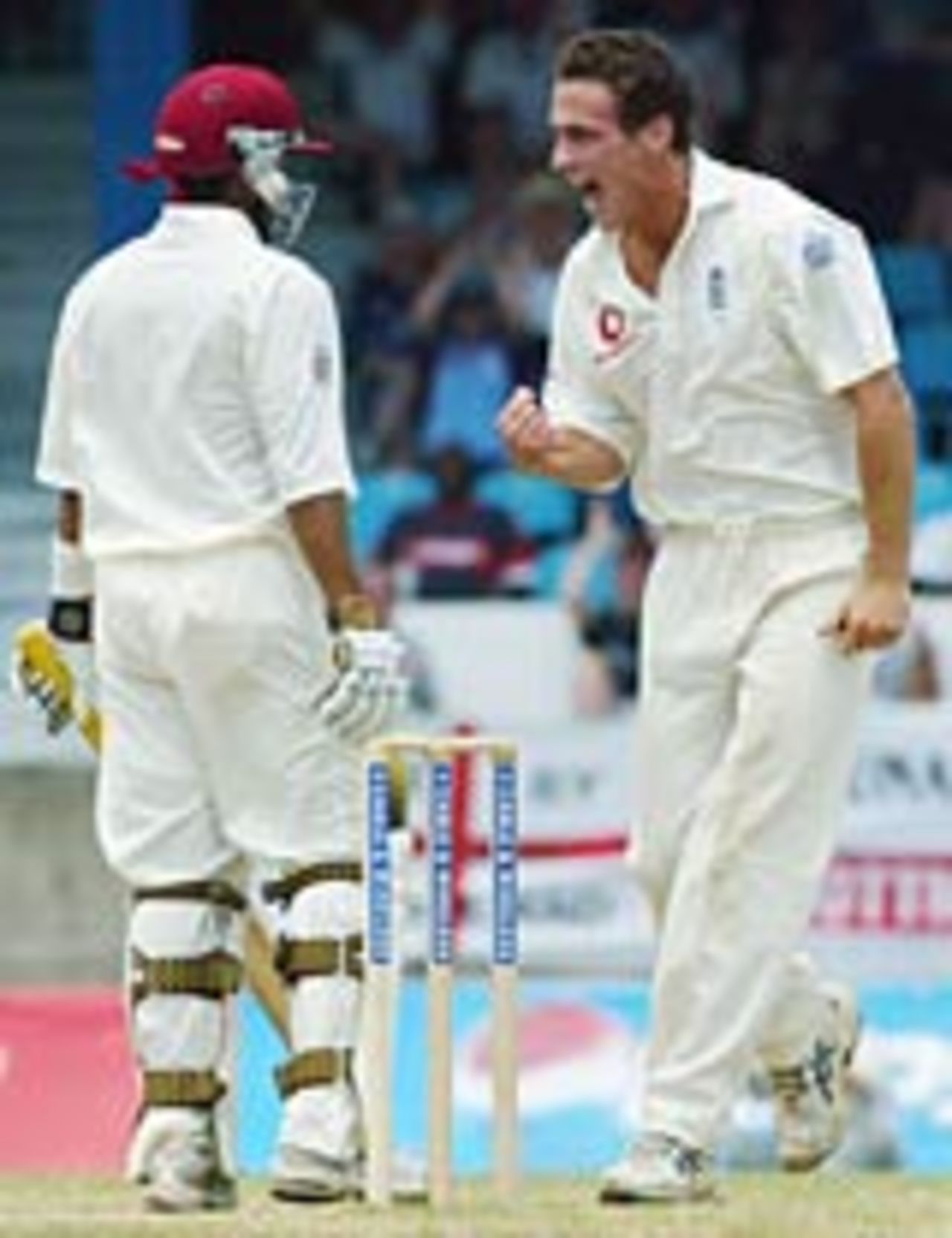Simon Jones roars his delight at dismissing Ramnaresh Sarwan, West Indies v England, 2nd Test, Trinidad, March 22, 3004