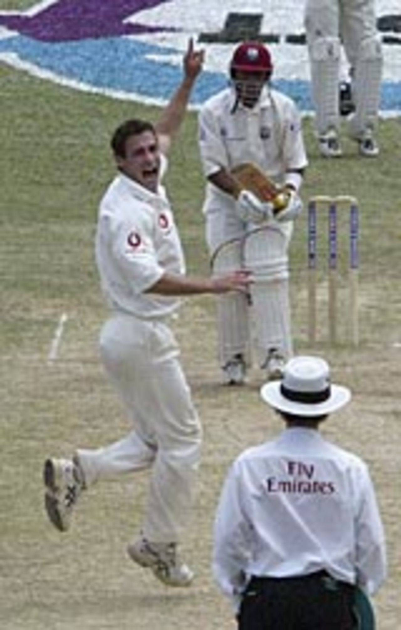 Simon Jones appeals for the wicket of Ramnaresh Sarwan, West Indies v England, 2nd Test, Trinidad, March 22, 3004