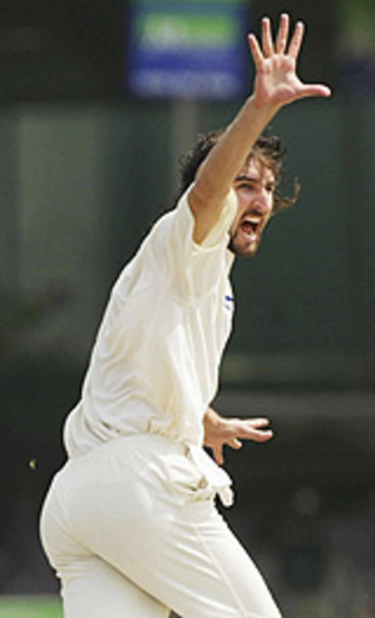 Jason Gillespie appeals, Sri Lanka v Australia, 3rd Test, Colombo, 3rd day, March 26, 2004