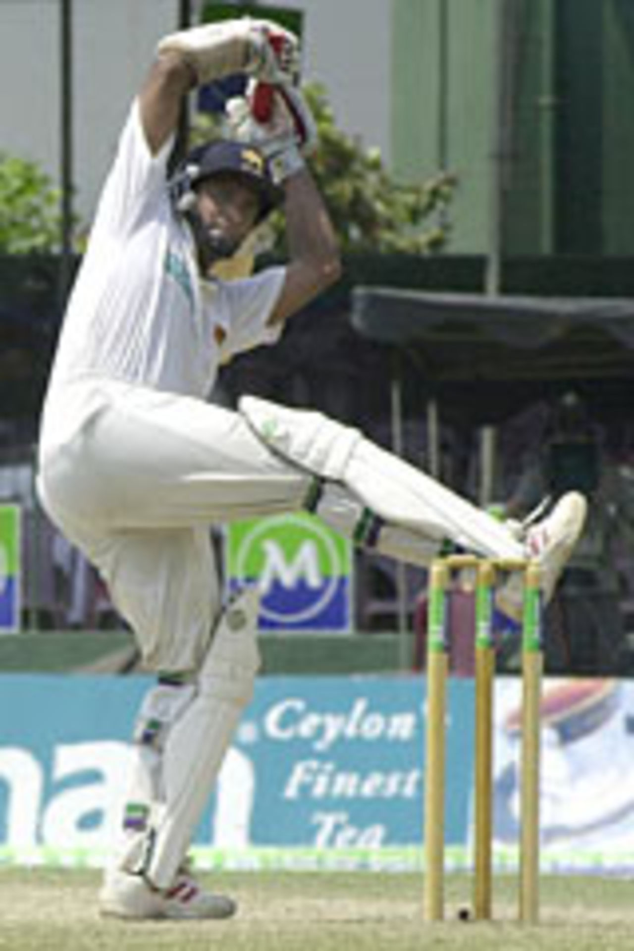 Hashan Tillakaratne, Sri Lanka v Australia, 3rd Test, Colombo, 3rd day, March 26, 2004