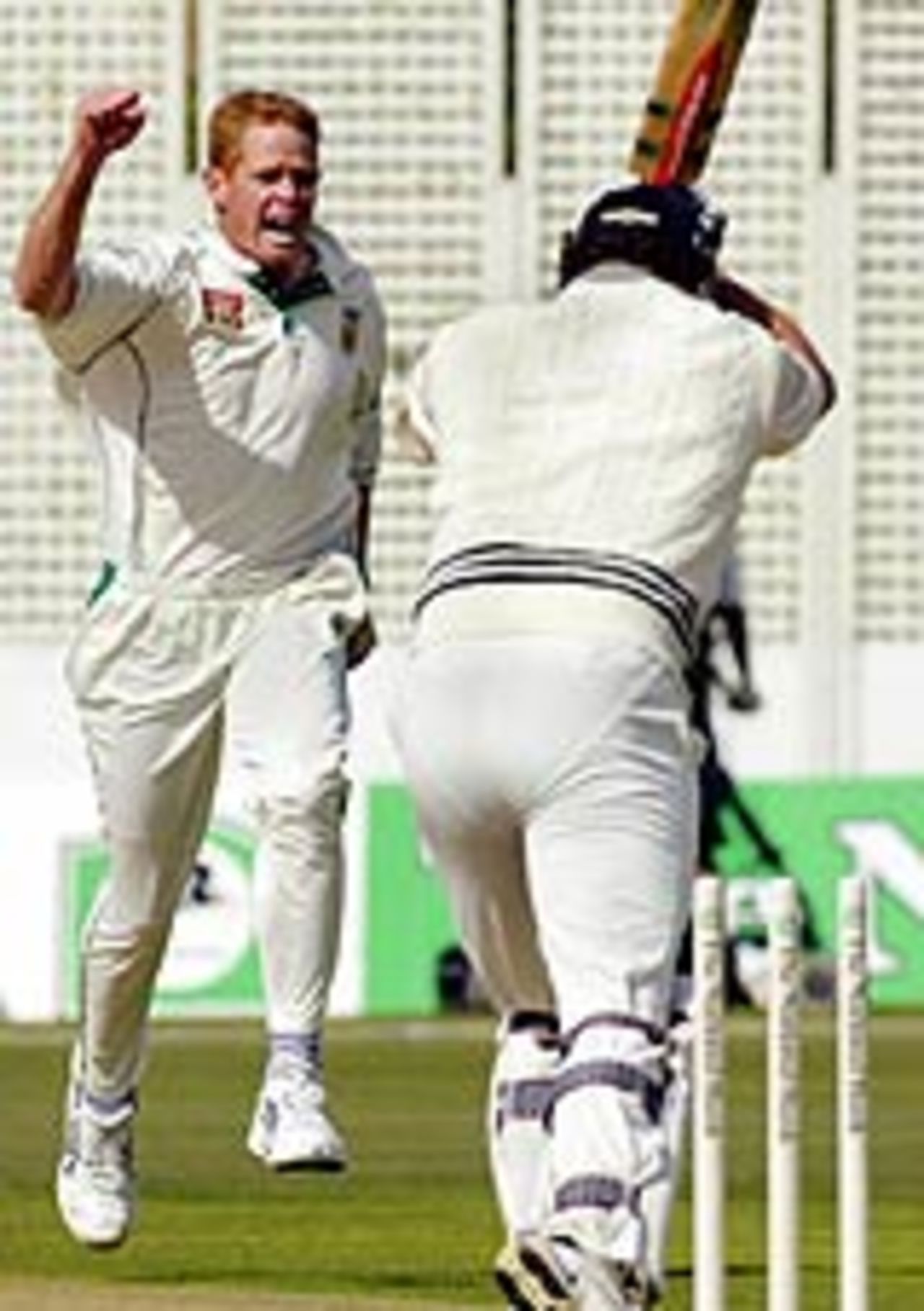 Shaun Pollock celebrates as Christ Cairns is bowled, New Zealand v South Africa, 3rd Test, Wellington, 2nd day, March 27, 2004