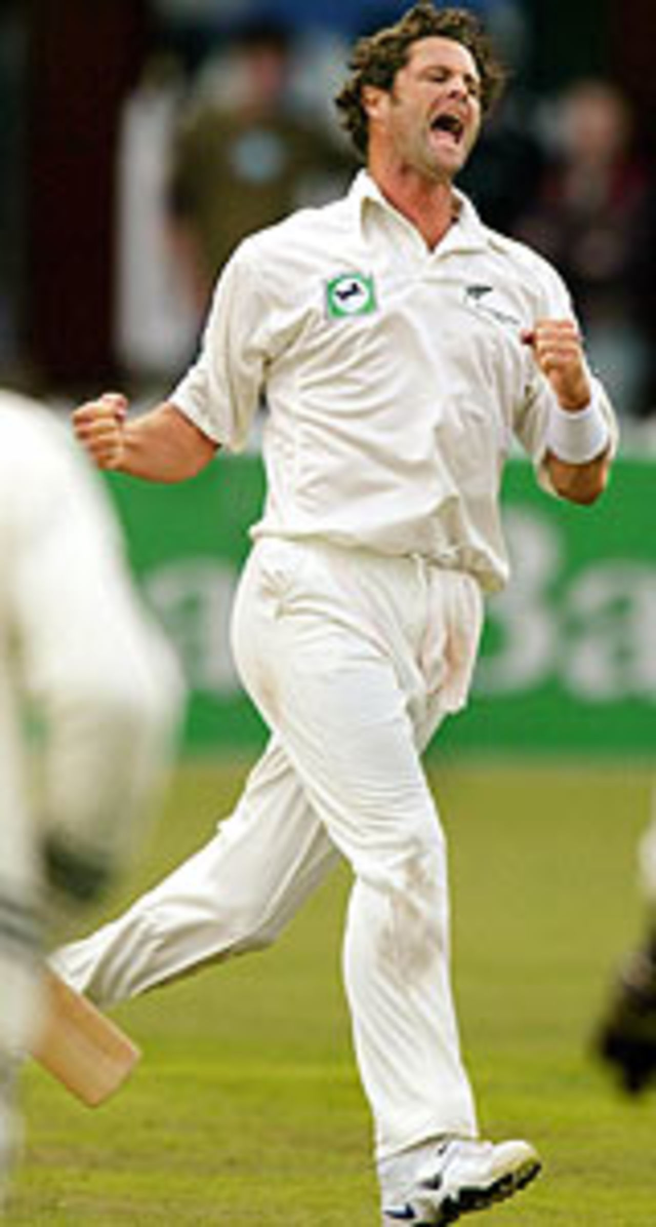 Chris Cairns is happy with a wicket, New Zealand v South Africa, 3rd Test, Wellington, 2nd day, March 27, 2004