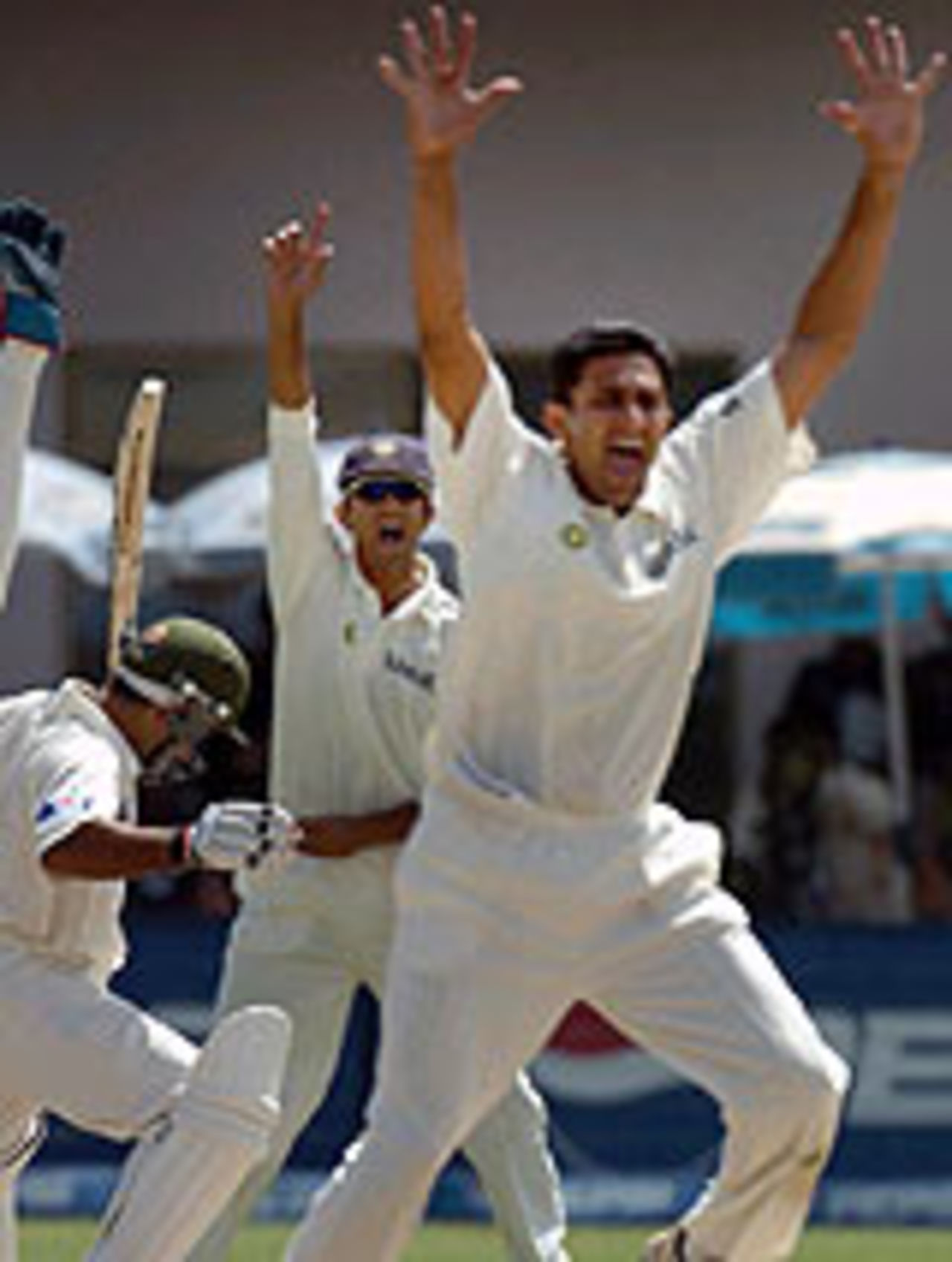 Anil Kumble and Rahul Dravid appeal as Taufeeq Umar is hit on the pads, Pakistan v India, 1st Test, Multan, 4th day, March 31, 2004
