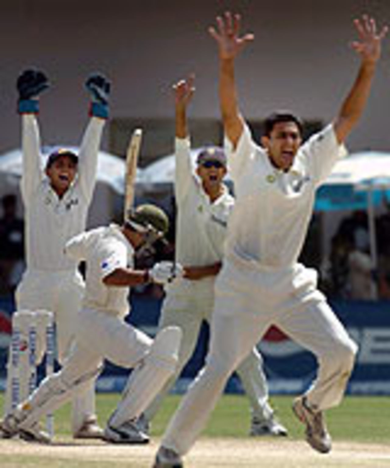 Anil Kumble, Rahul Dravid and Parthiv Patel appeal as Taufeeq Umar is hit on the pads, Pakistan v India, 1st Test, Multan, 4th day, March 31, 2004