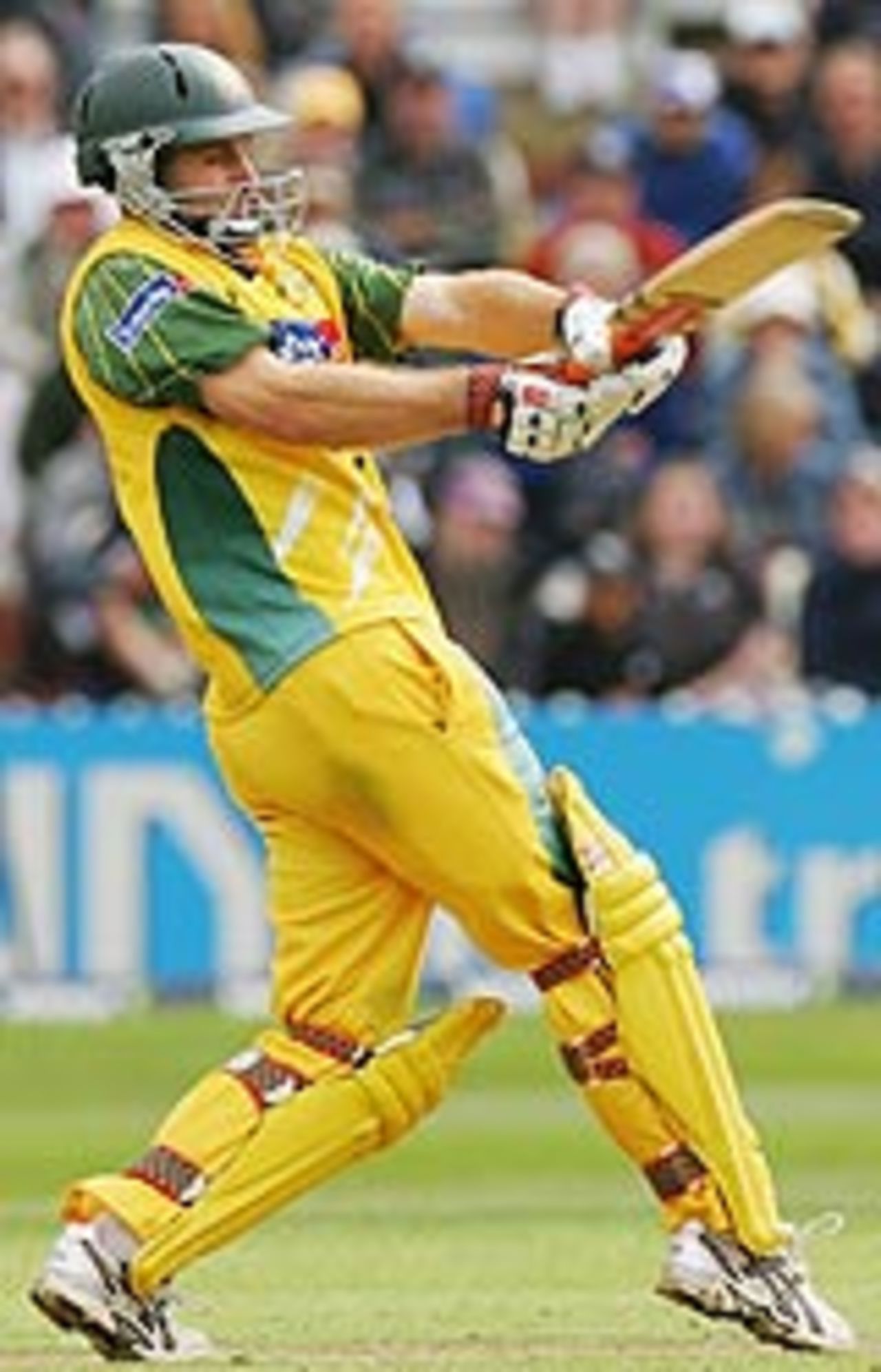 Simon Katich pulls violently, New Zealand v Australia, 4th ODI, Wellington, March 1, 2005