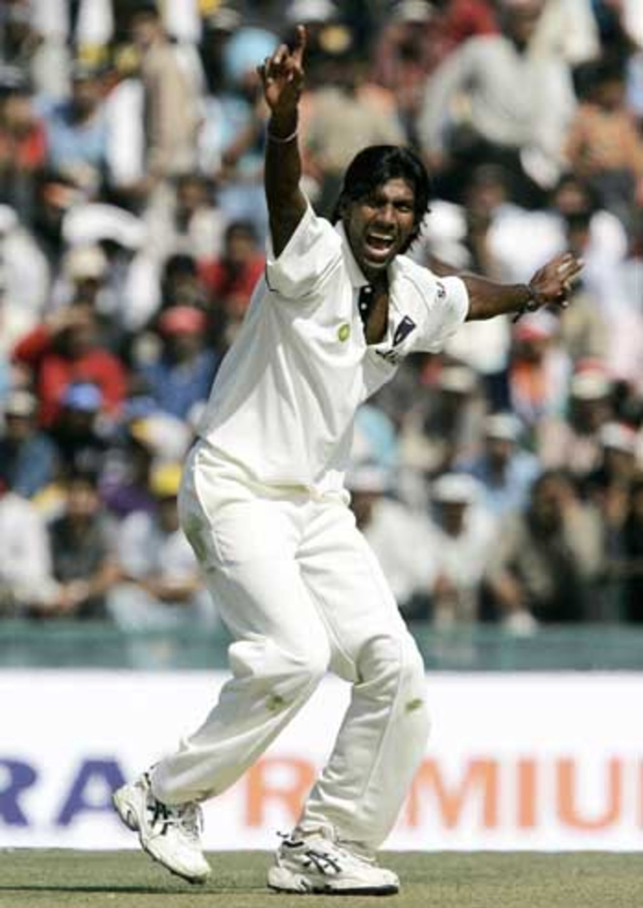 Lakshmipathy Balaji seals the innings, trapping Naved-ul-Hasan lbw, India v Pakistan, 1st Test, Mohali, March 8, 2005