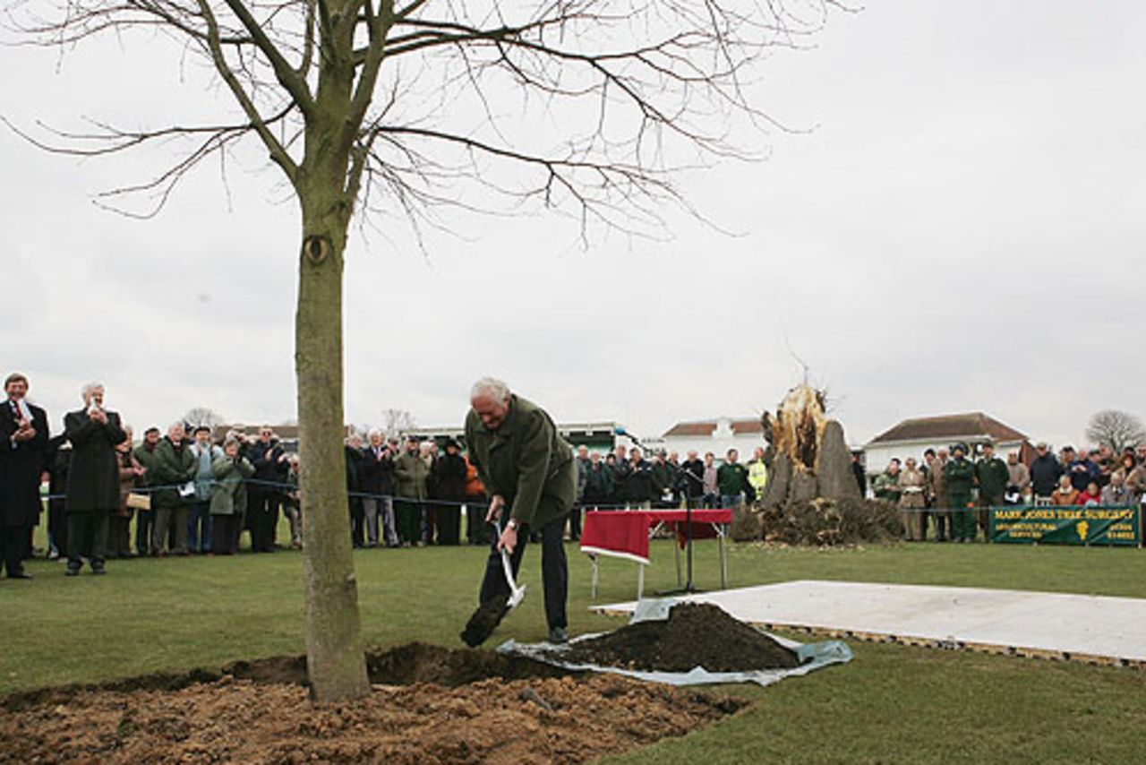 Robert Neame, the former Kent president, plants the new lime tree at the St Lawrence Ground in Canterbury