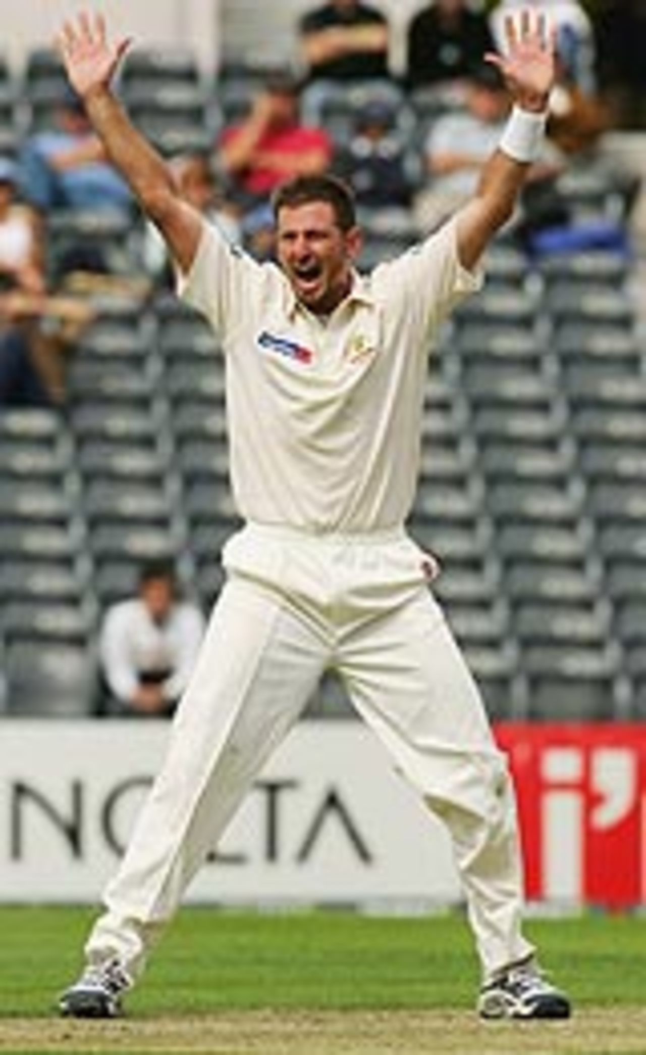 Michael Kasprowicz appeals, New Zealand v Australia, 1st Test, Christchurch, March 10, 2005