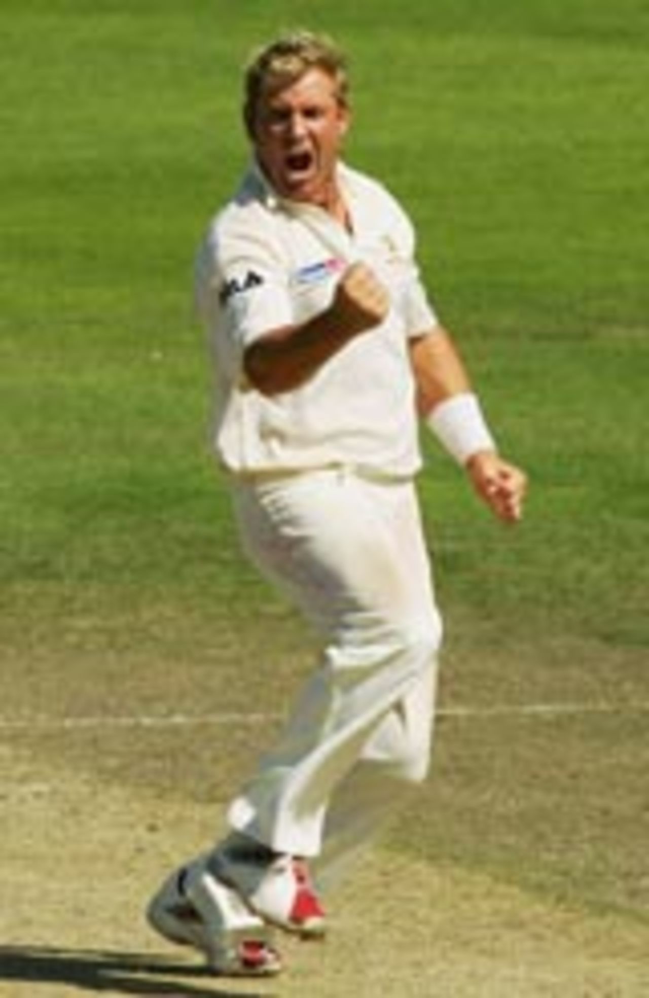 Shane Warne celebrates a wicket, New Zealand v Australia, 1st Test, Christchurch, 4th day, March 13, 2005