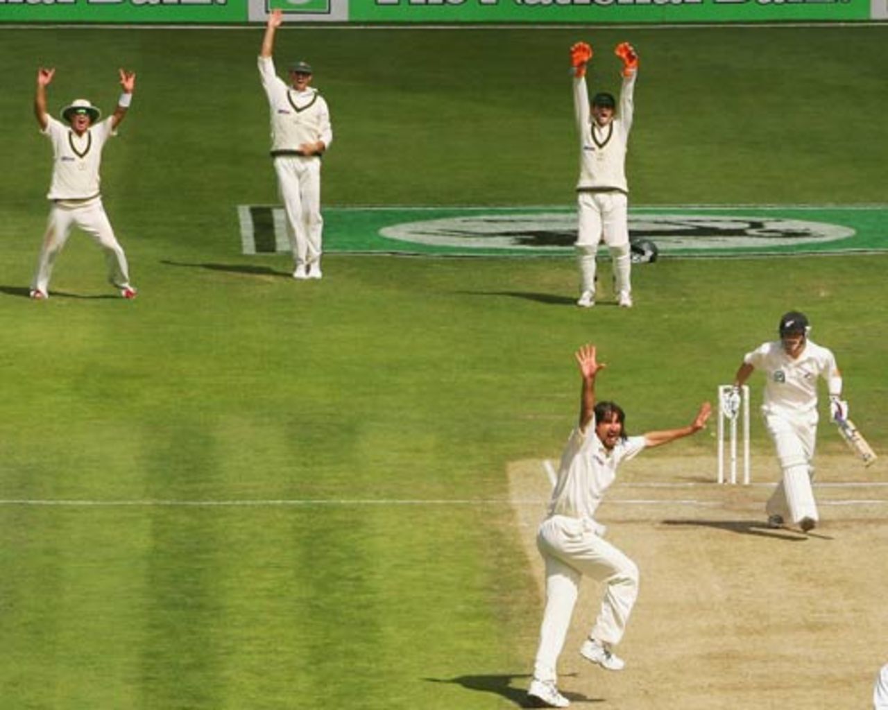 Brendon McCullum is trapped in front by Jason Gillespie, and the Australians have more reason to celebrate, New Zealand v Australia, 1st Test, Christchurch, 4th day