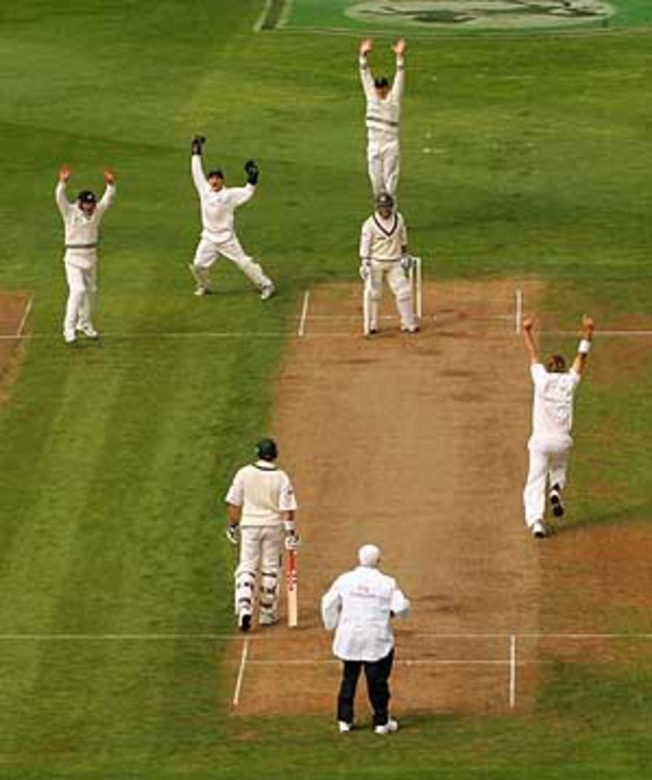Daniel Vettori nails Justin Langer, New Zealand v Australia, 2nd Test, Wellington, 2nd day, March 19, 2005