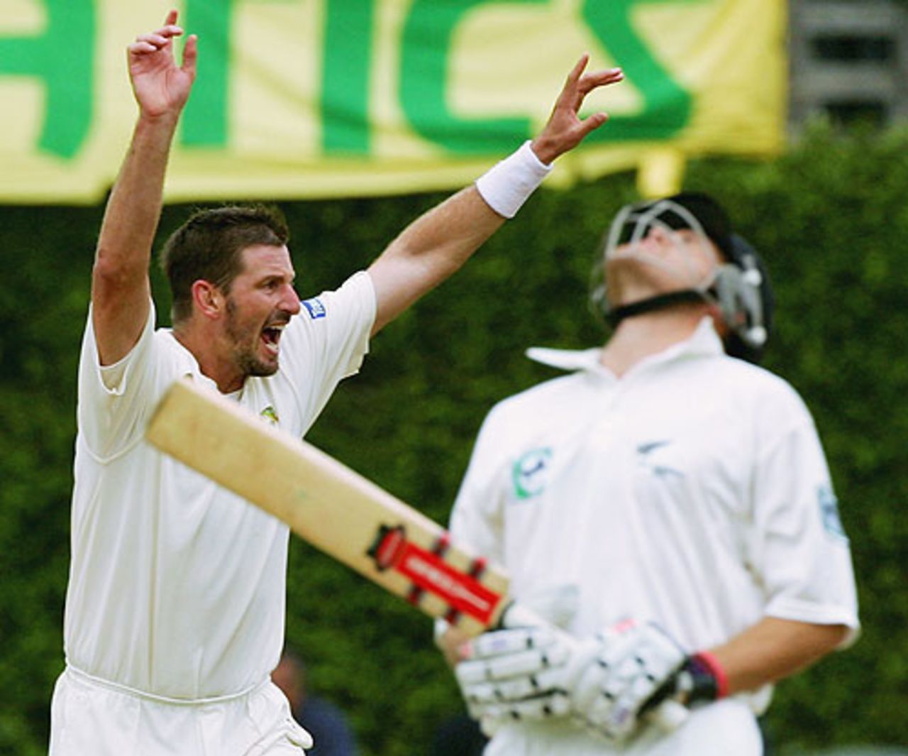 Michael Kasprowicz celebrates, New Zealand v Australia, 2nd Test, Wellington, 4th day, March 21, 2005
