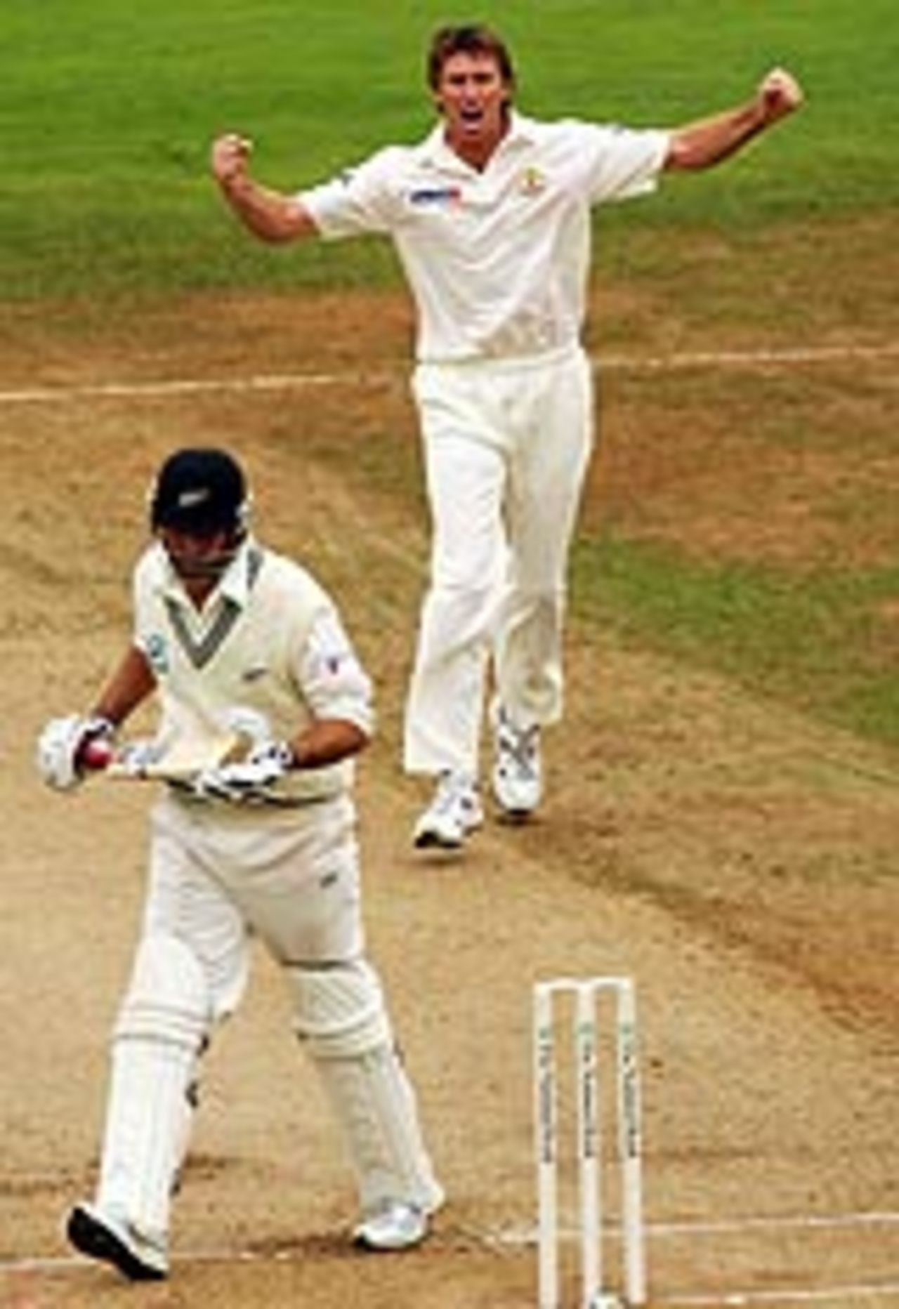 Glenn McGrath celebrates as Stephen Fleming trudges back, New Zealand v Australia, 2nd Test, Wellington, 5th day, March 22, 2005