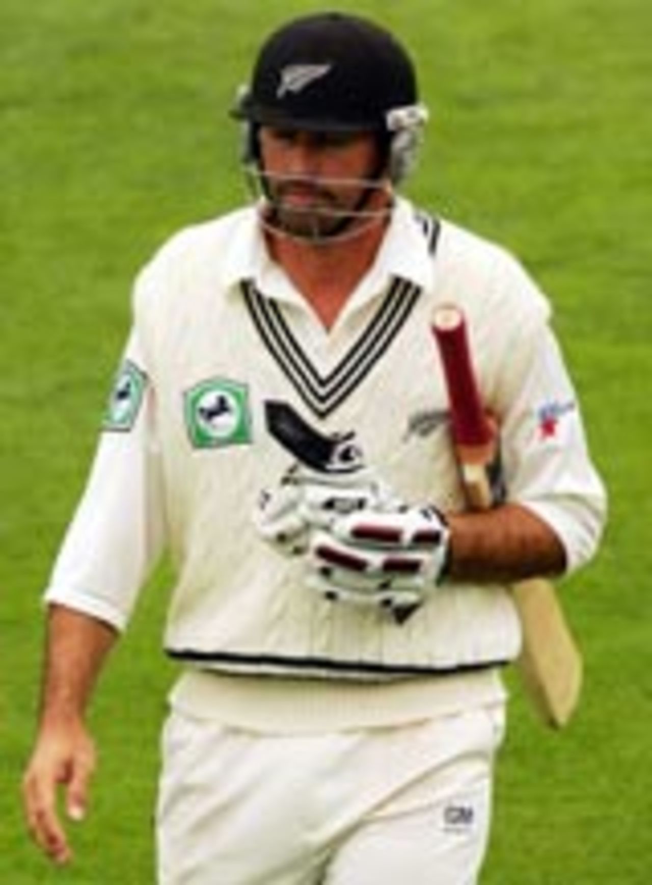 Stephen Fleming walks back after being trapped lbw, New Zealand v Australia, 2nd Test, Wellington, 5th day, March 22, 2005