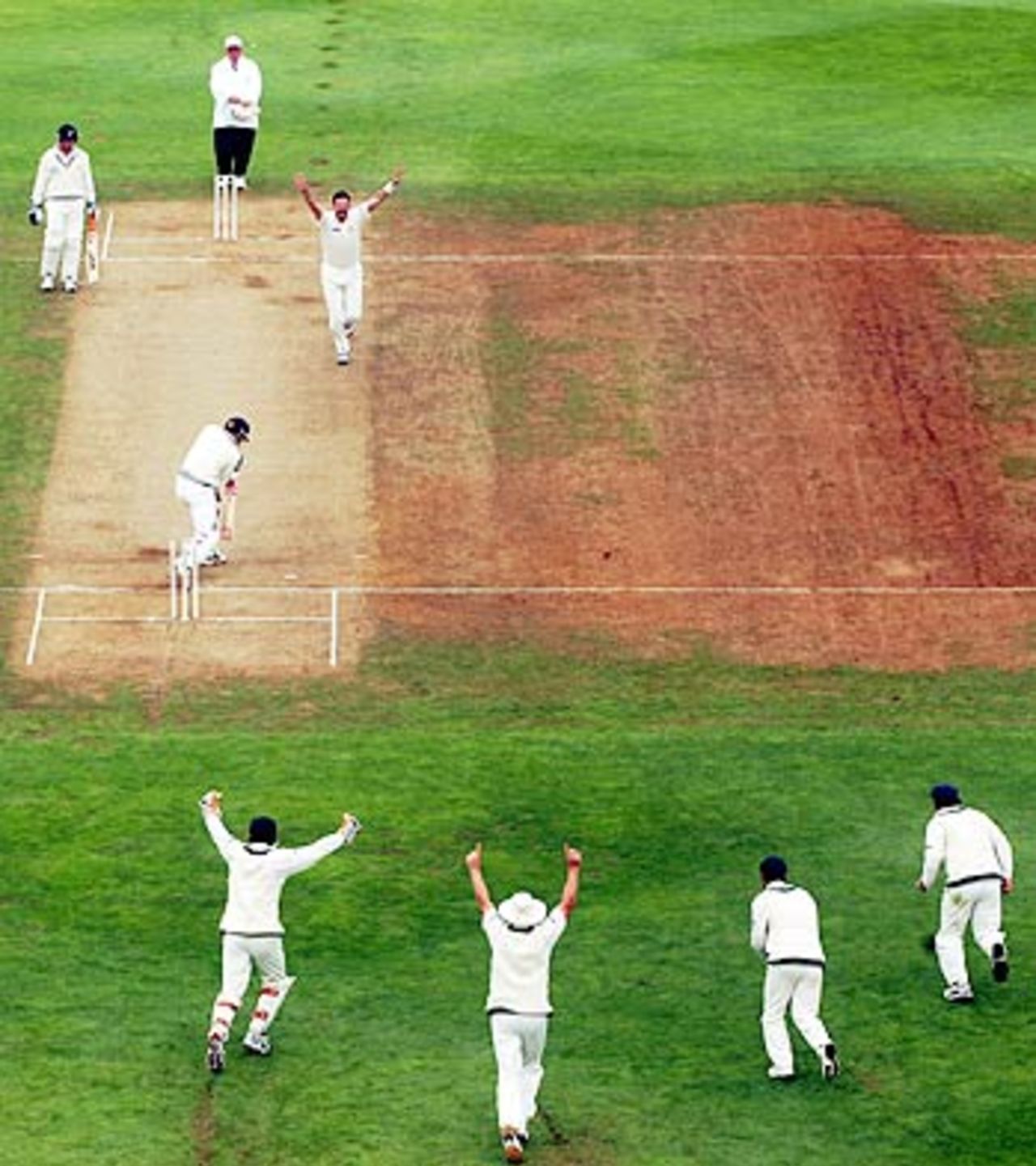 Michael Kasprowicz celebrates his 100th Test victim on a rain-affected day, New Zealand v Australia, 2nd Test, Wellington, 5th day, March 22, 2005
