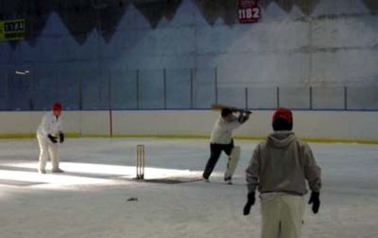 Ice Cricket Action